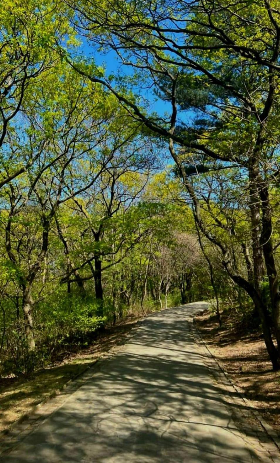 Honeycourt