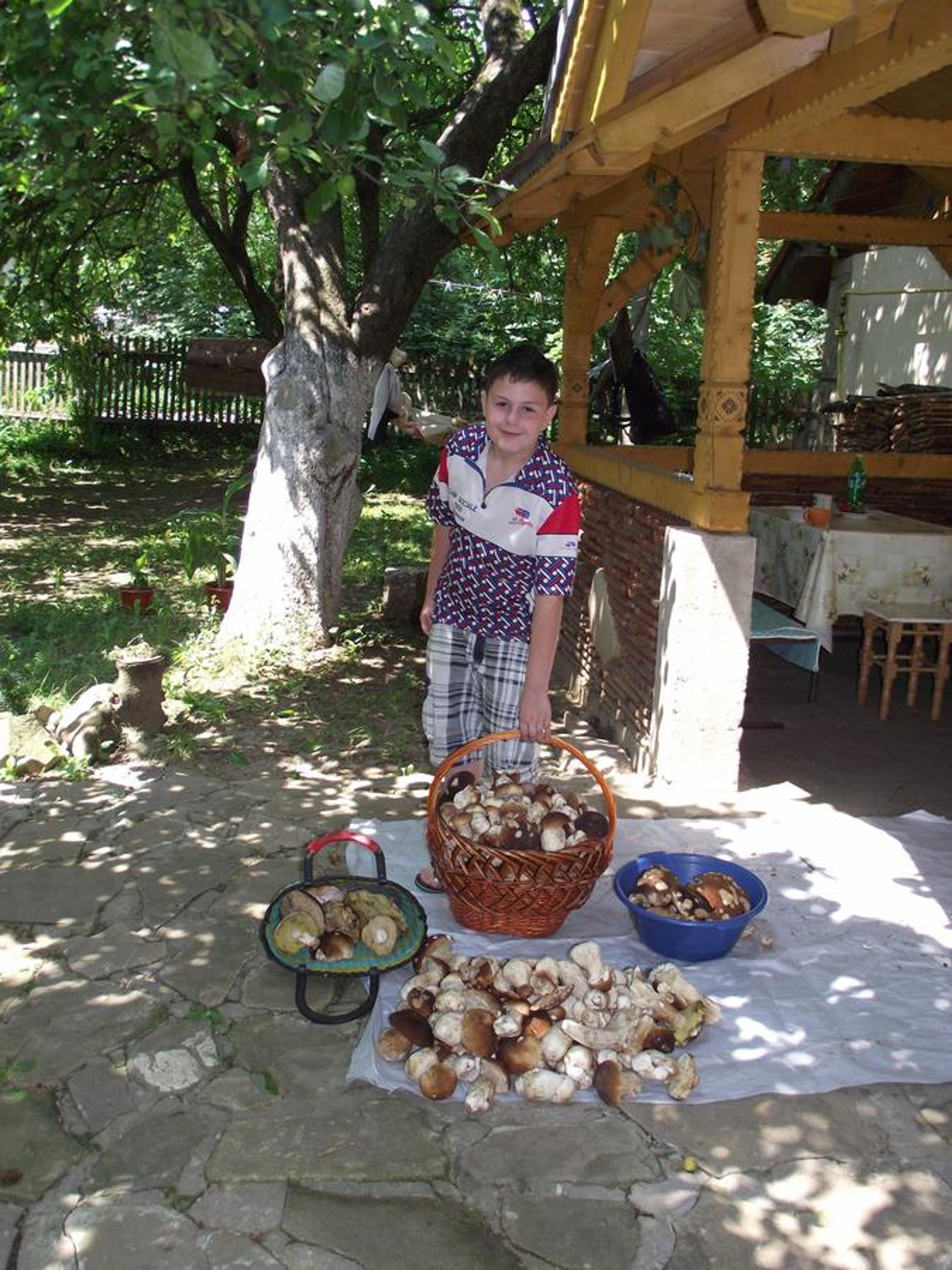 Photo 44