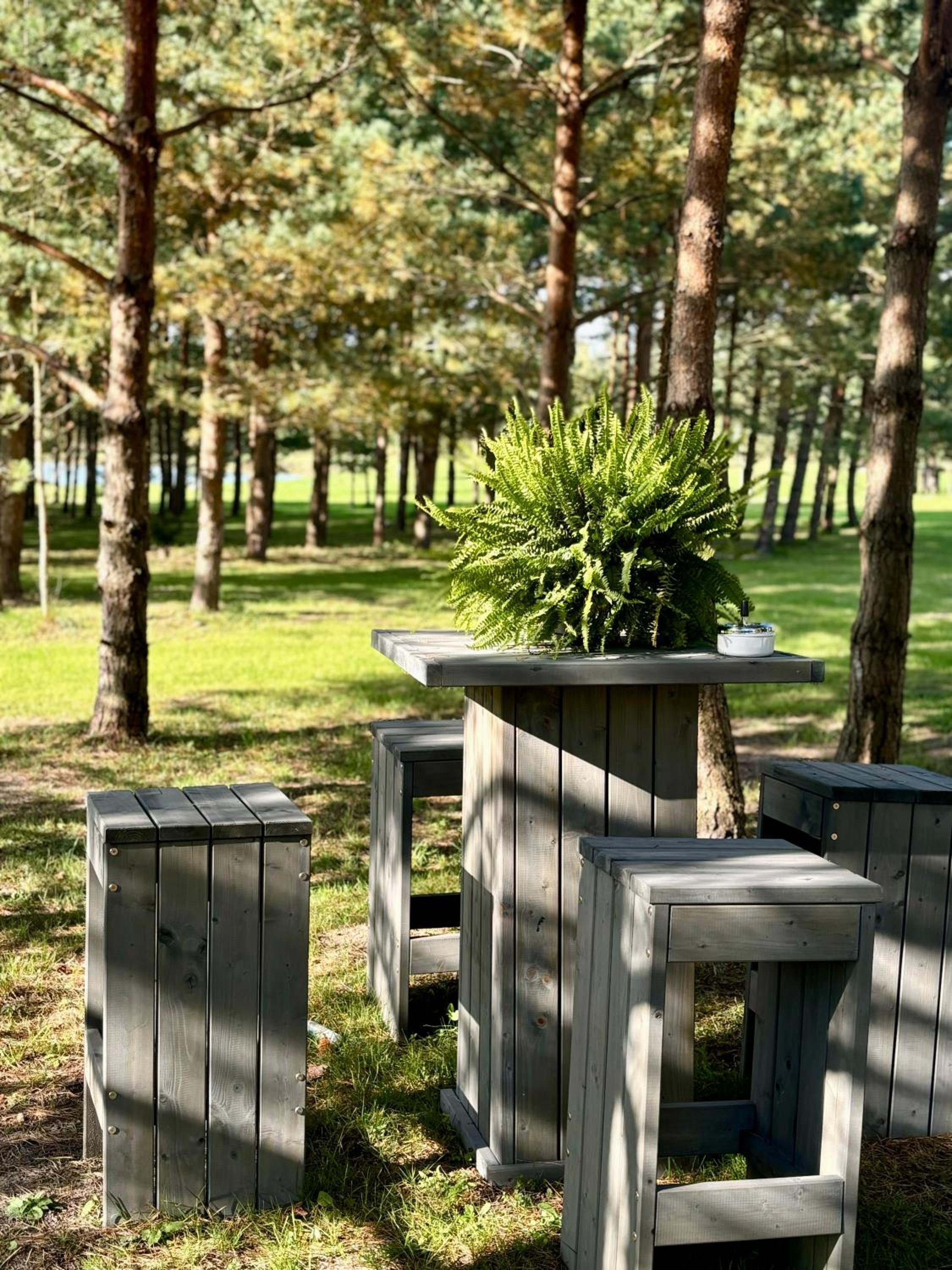 Baldones dabas retrīts - Exclusive holiday house near Riga jacuzzi sauna extra cost view 4