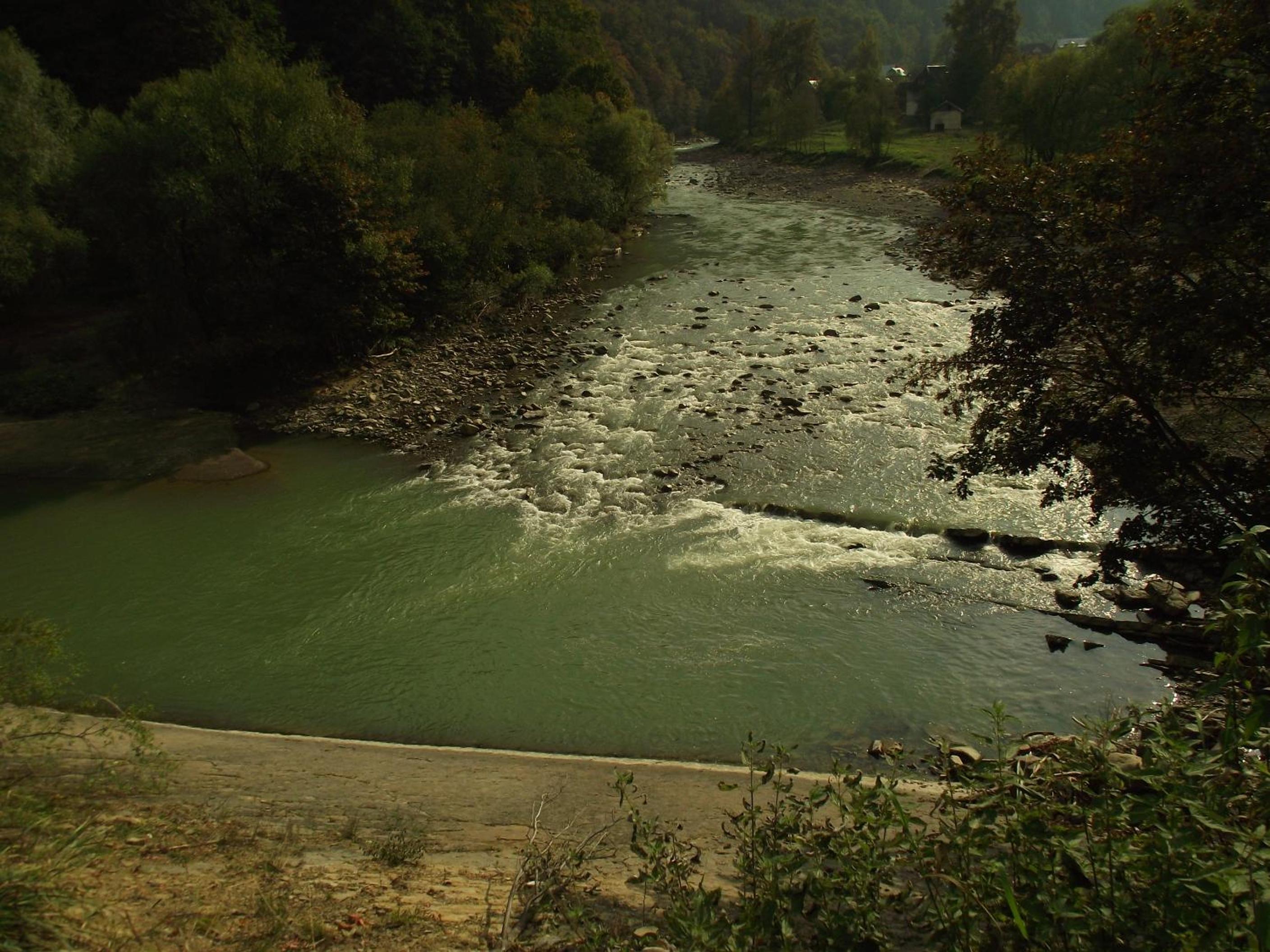 Photo 48