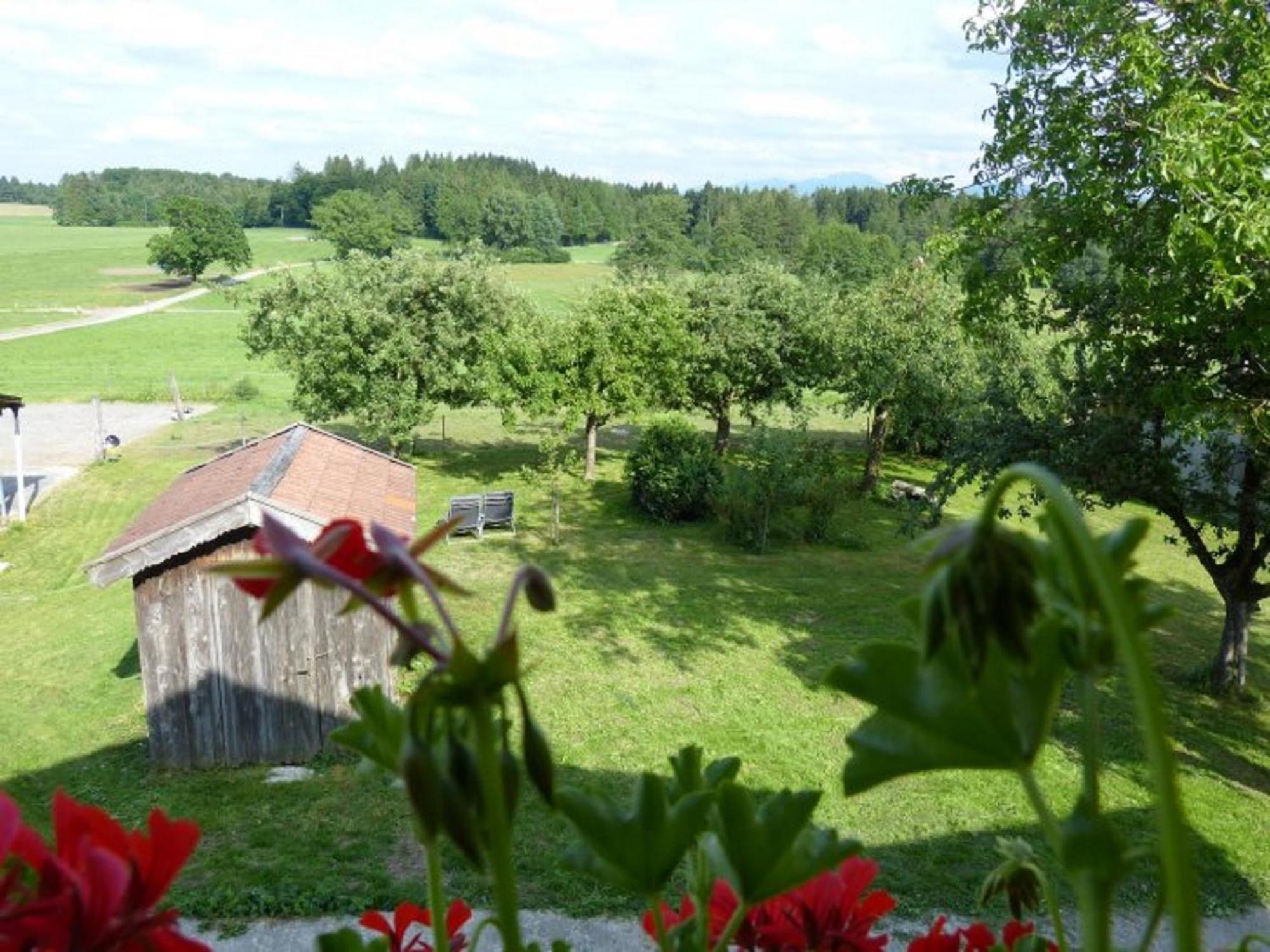 Druckerhof