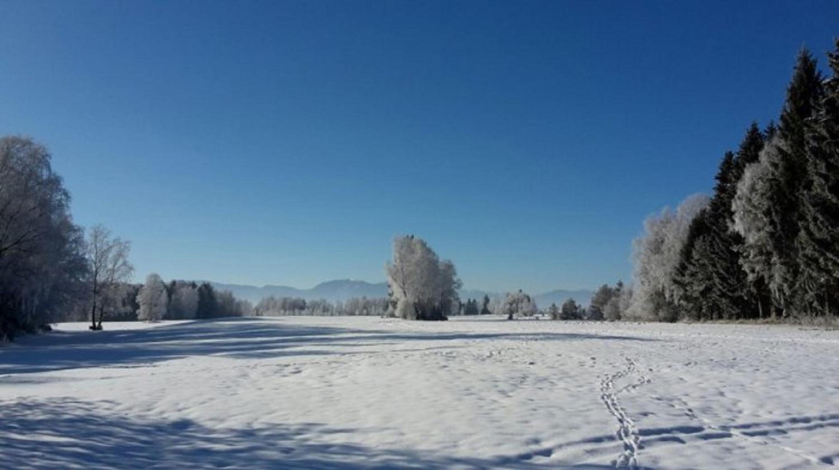 Druckerhof