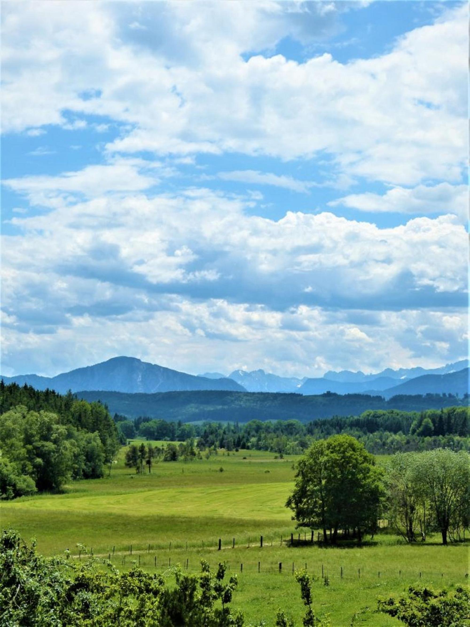Druckerhof