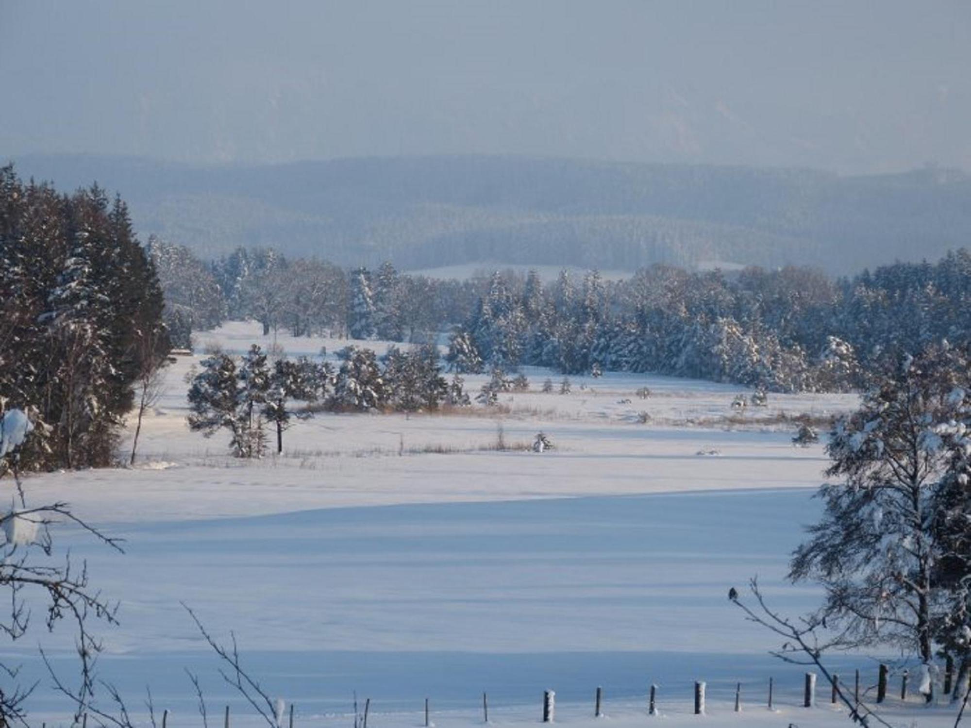 Druckerhof