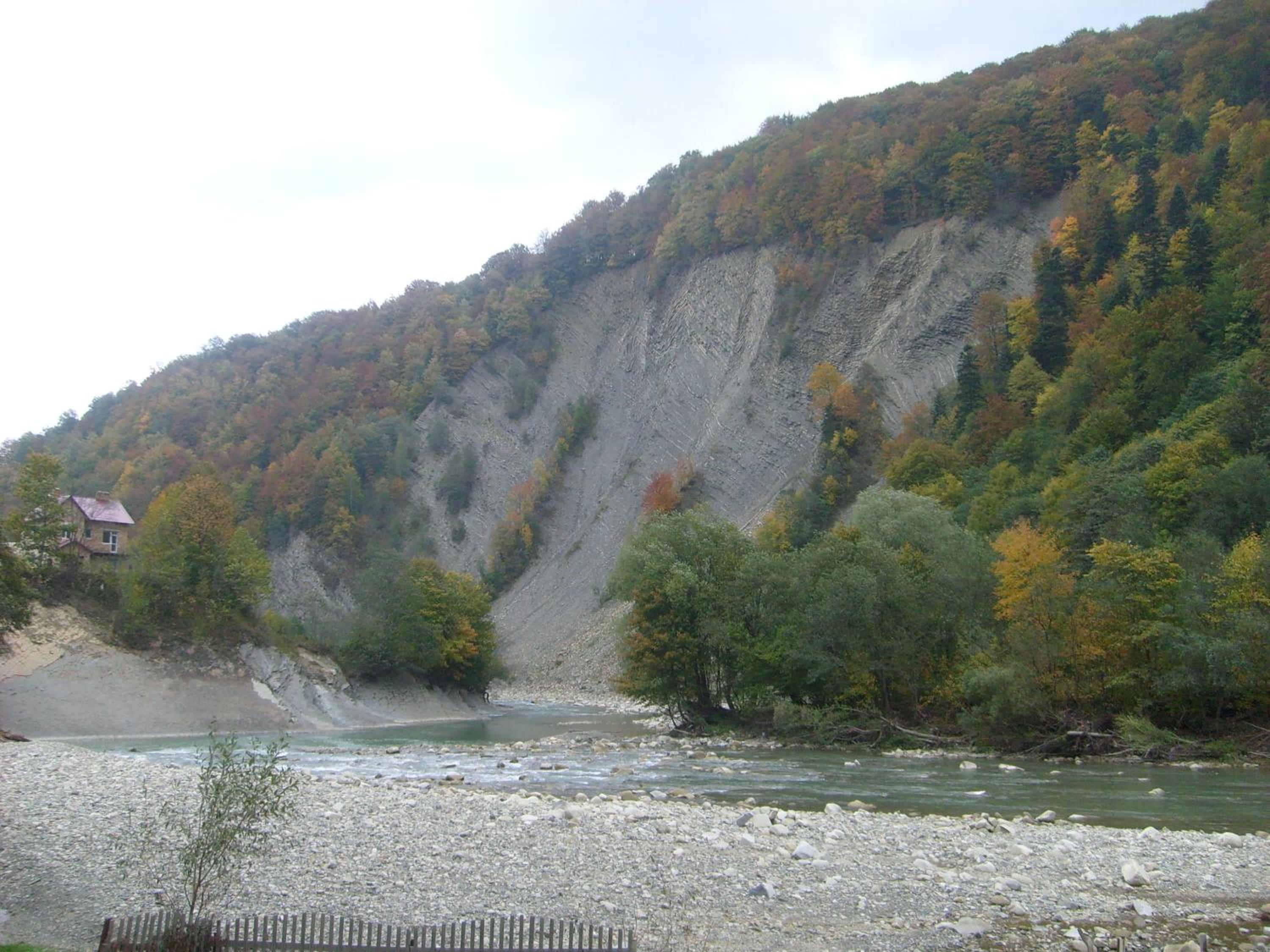 Photo 46