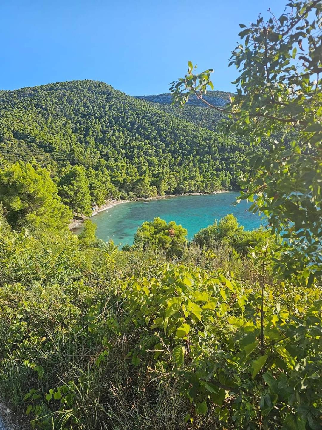 Summer Park Residence Peljesac