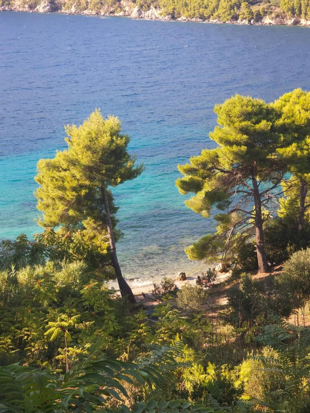 Summer Park Residence Peljesac