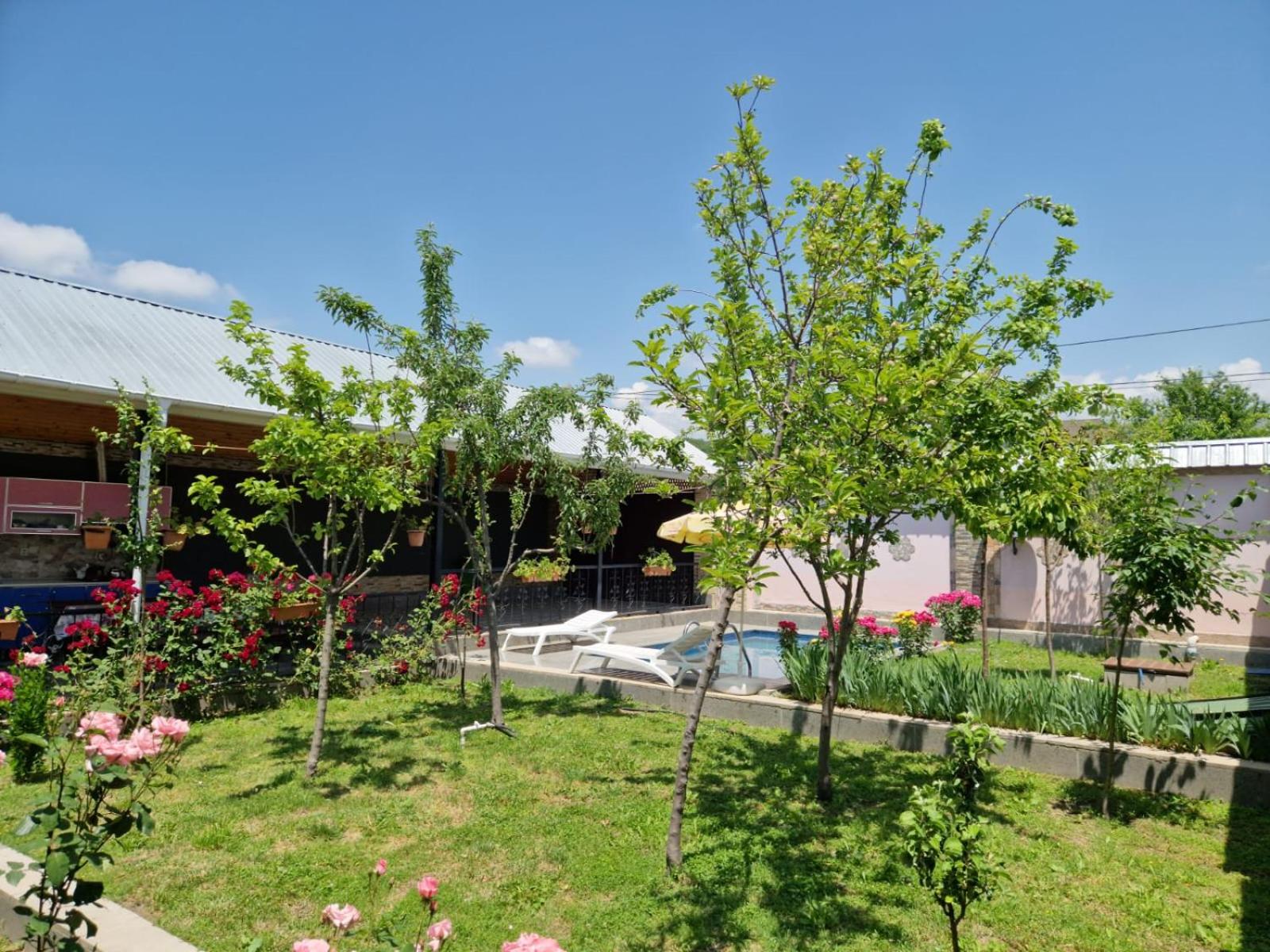 Garden Gabala-Villa1