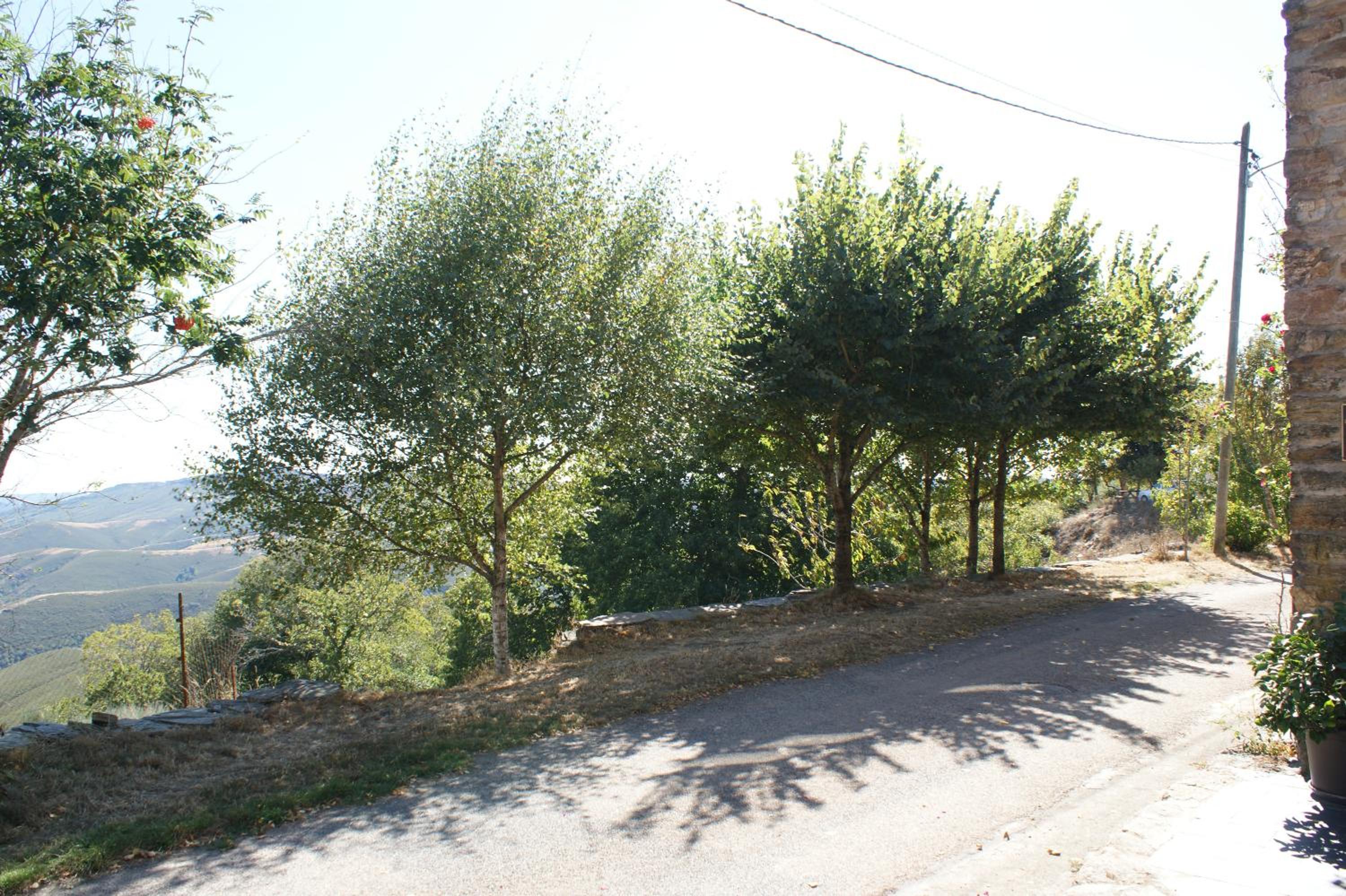 Photo 36