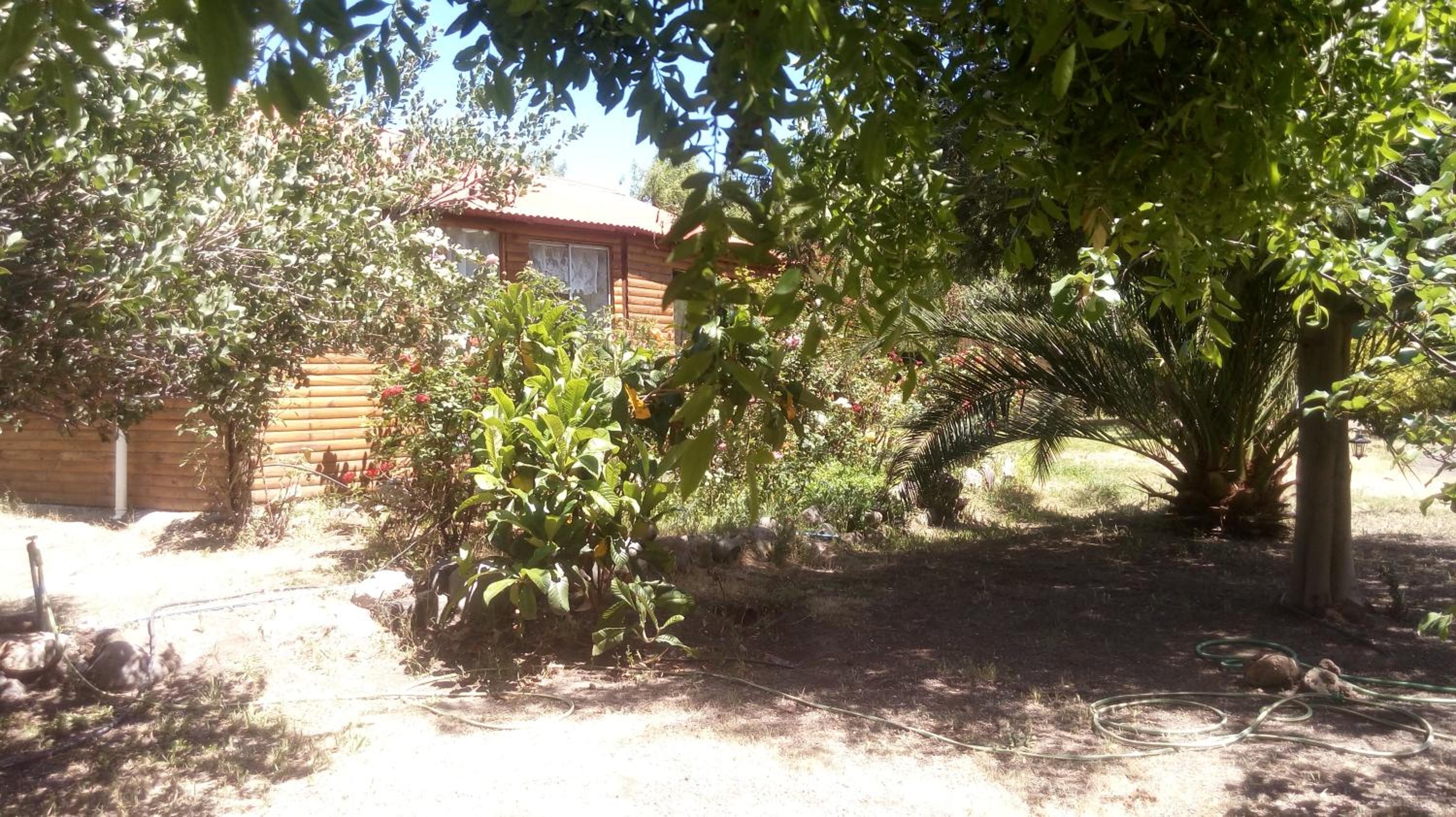 Photo 44