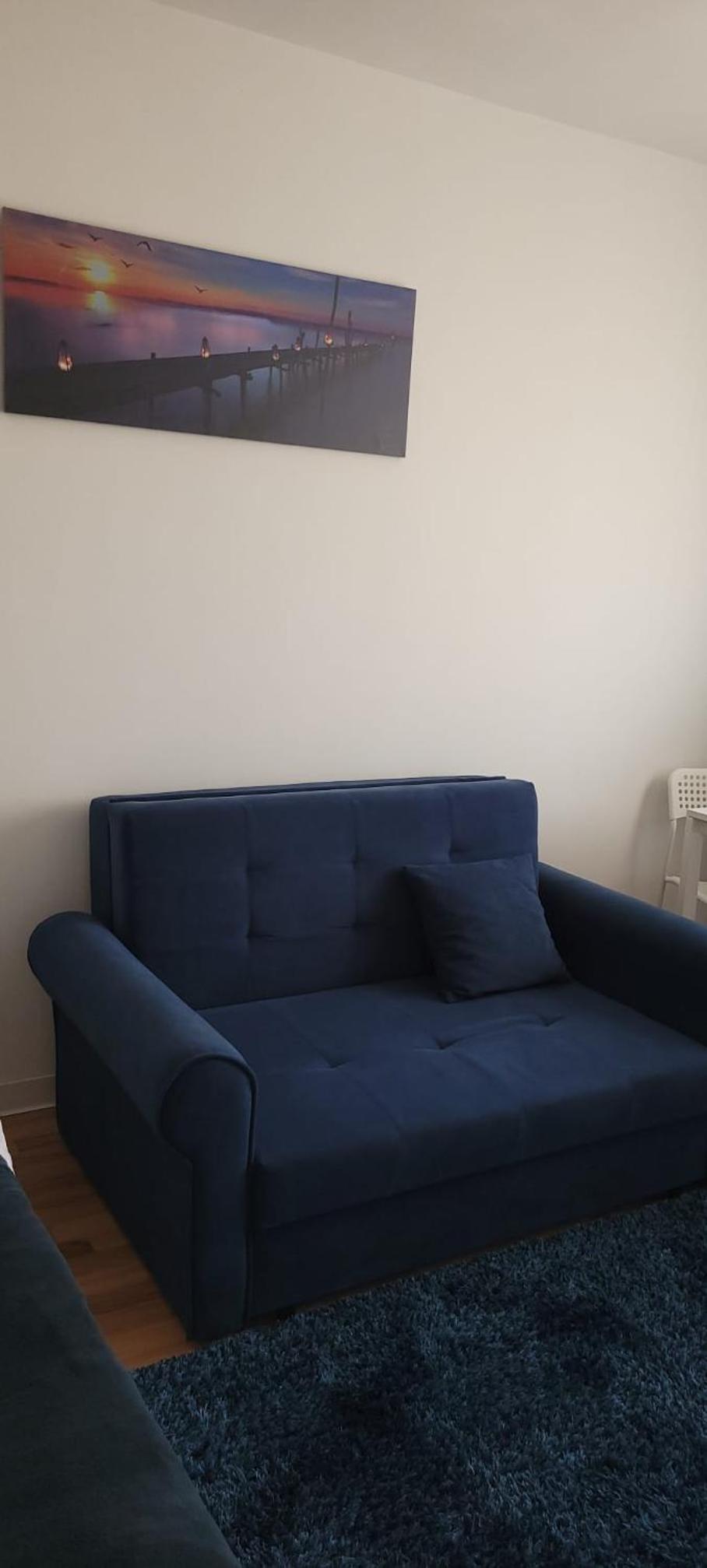 Casa Rusu - Govandari -Self check in-24h Netflix, photo 40