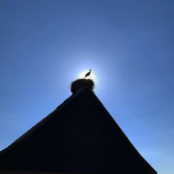 Fachwerk-Fischerhaus an Elbe und Aland
