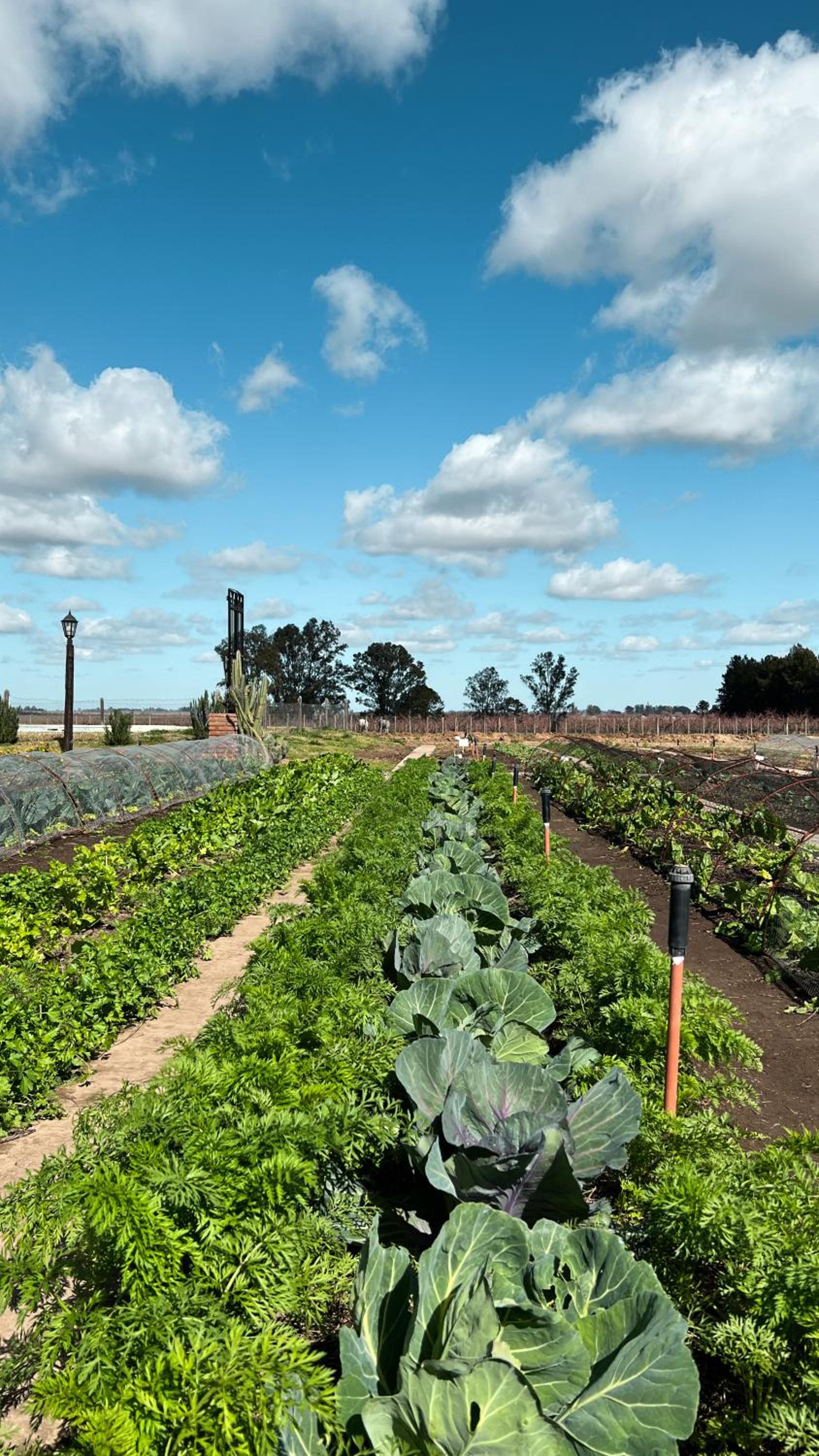 La Santina Posada de Campo & Eventos