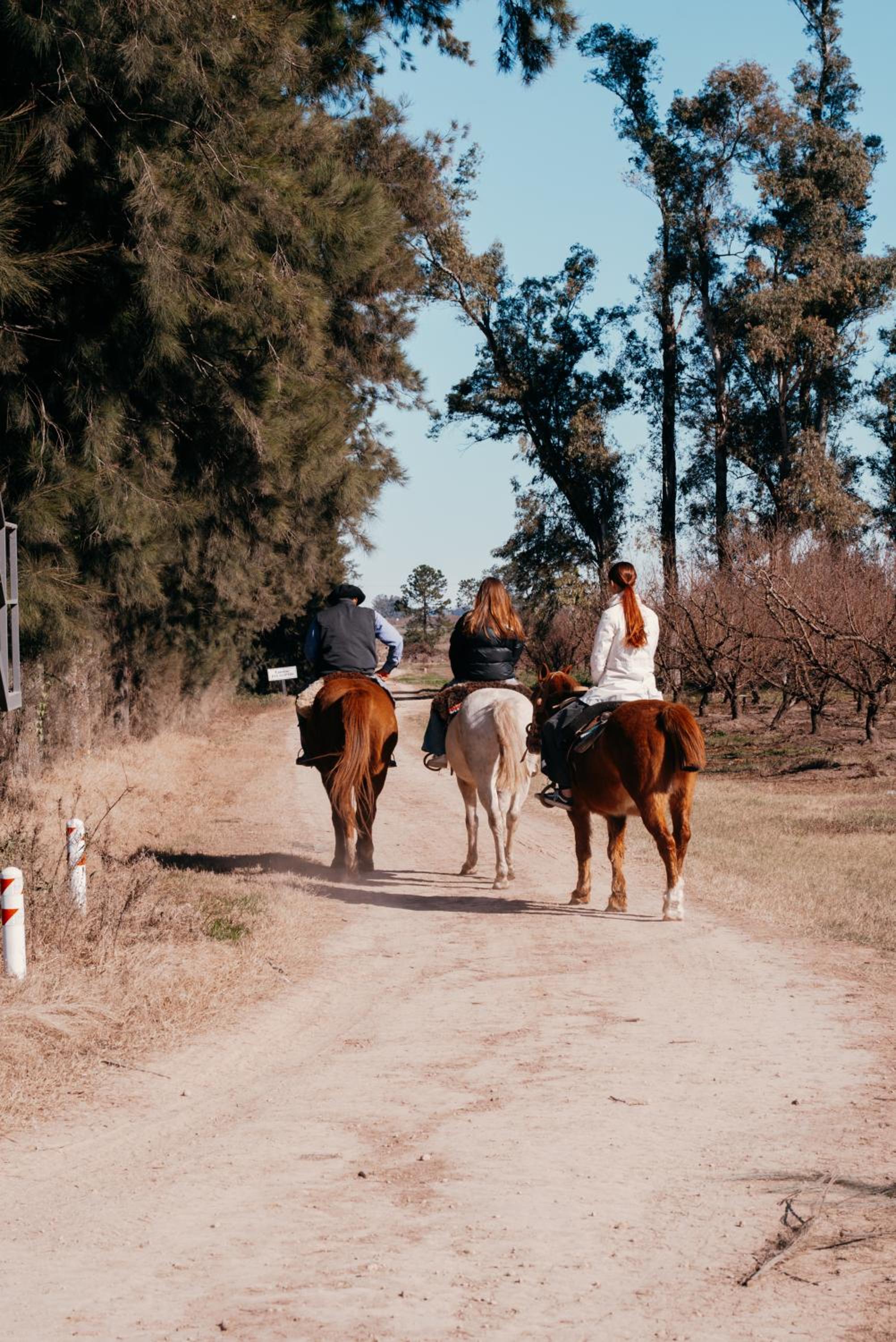 La Santina Posada de Campo & Eventos
