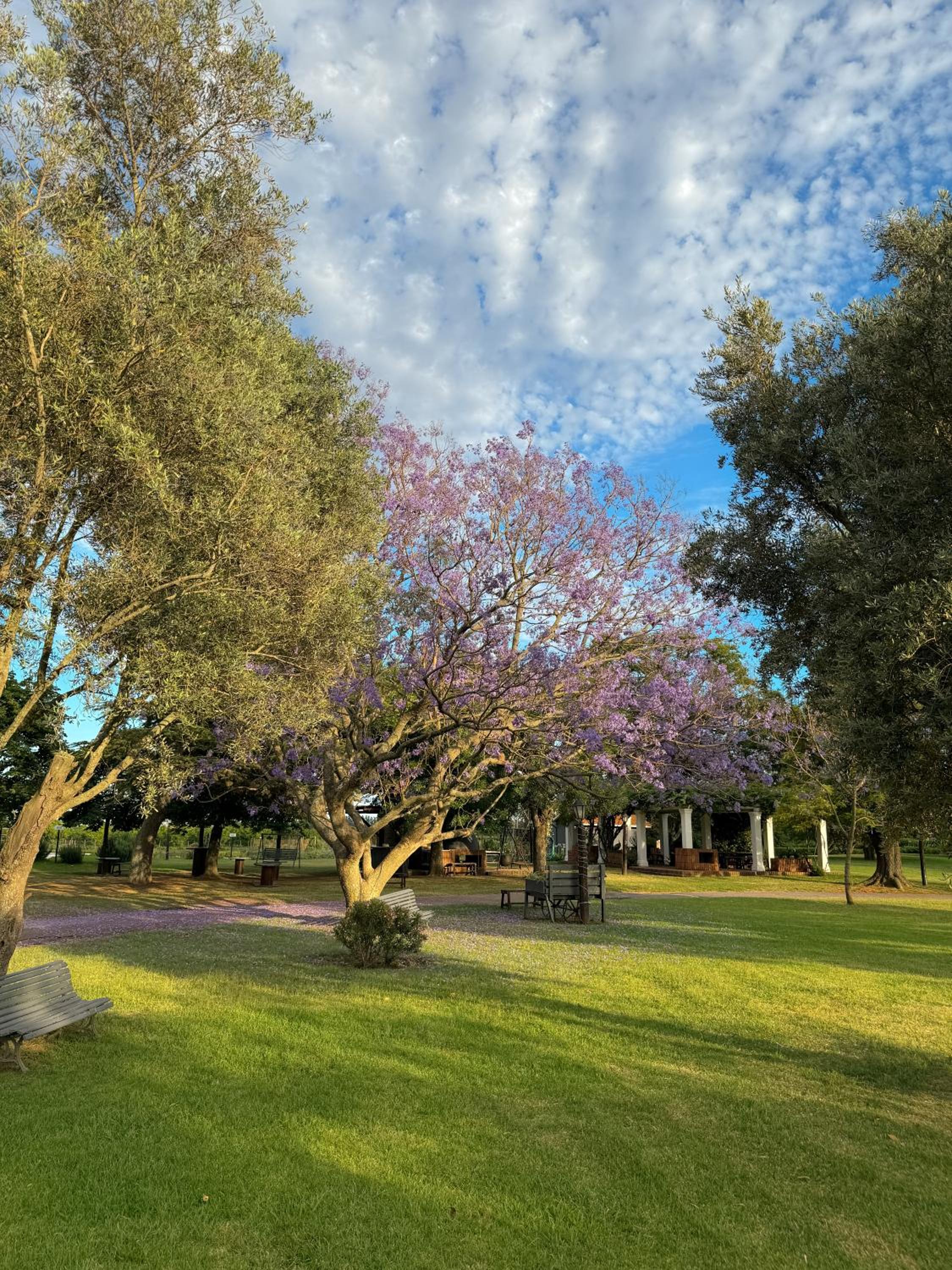 La Santina Posada de Campo & Eventos