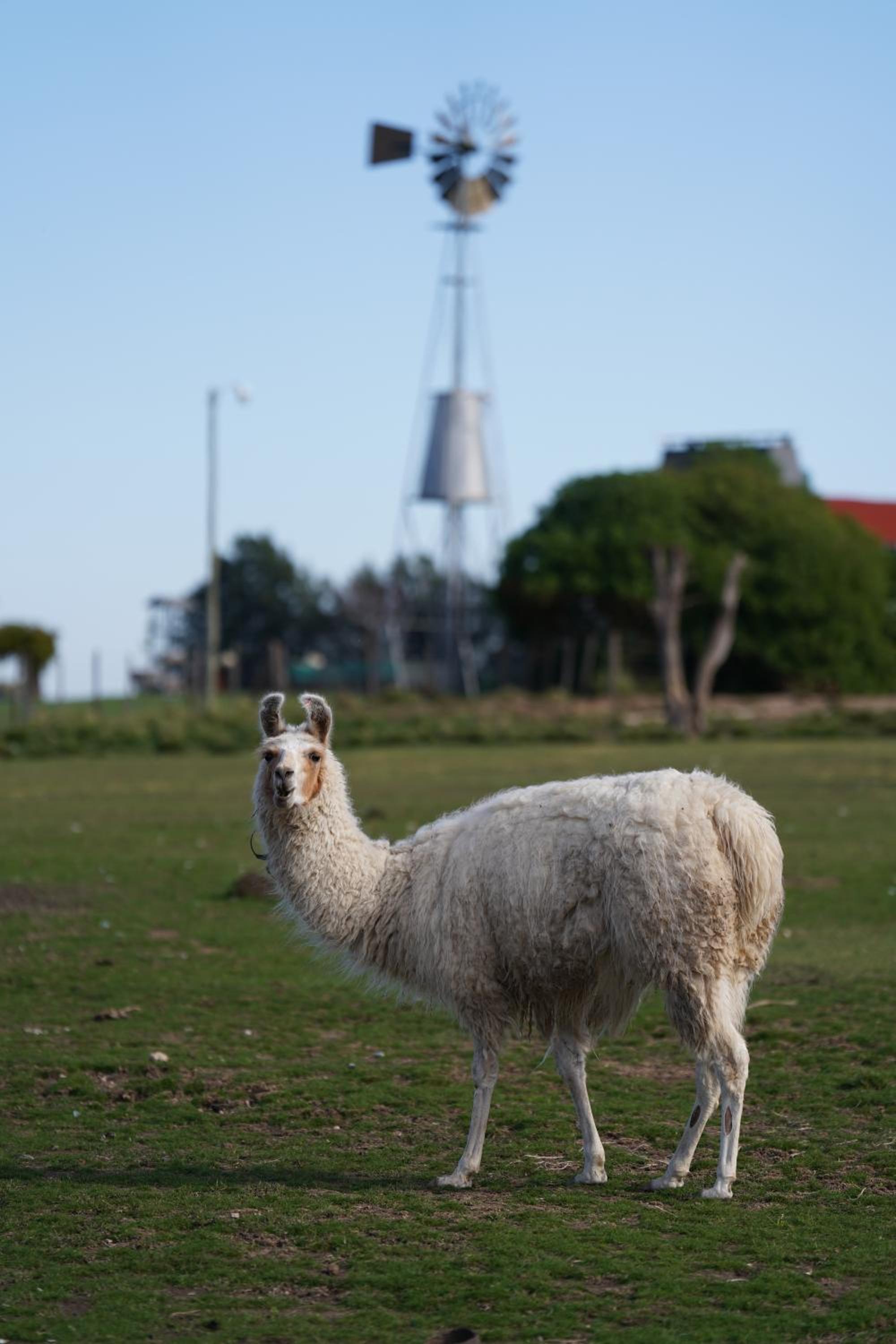 La Santina Posada de Campo & Eventos