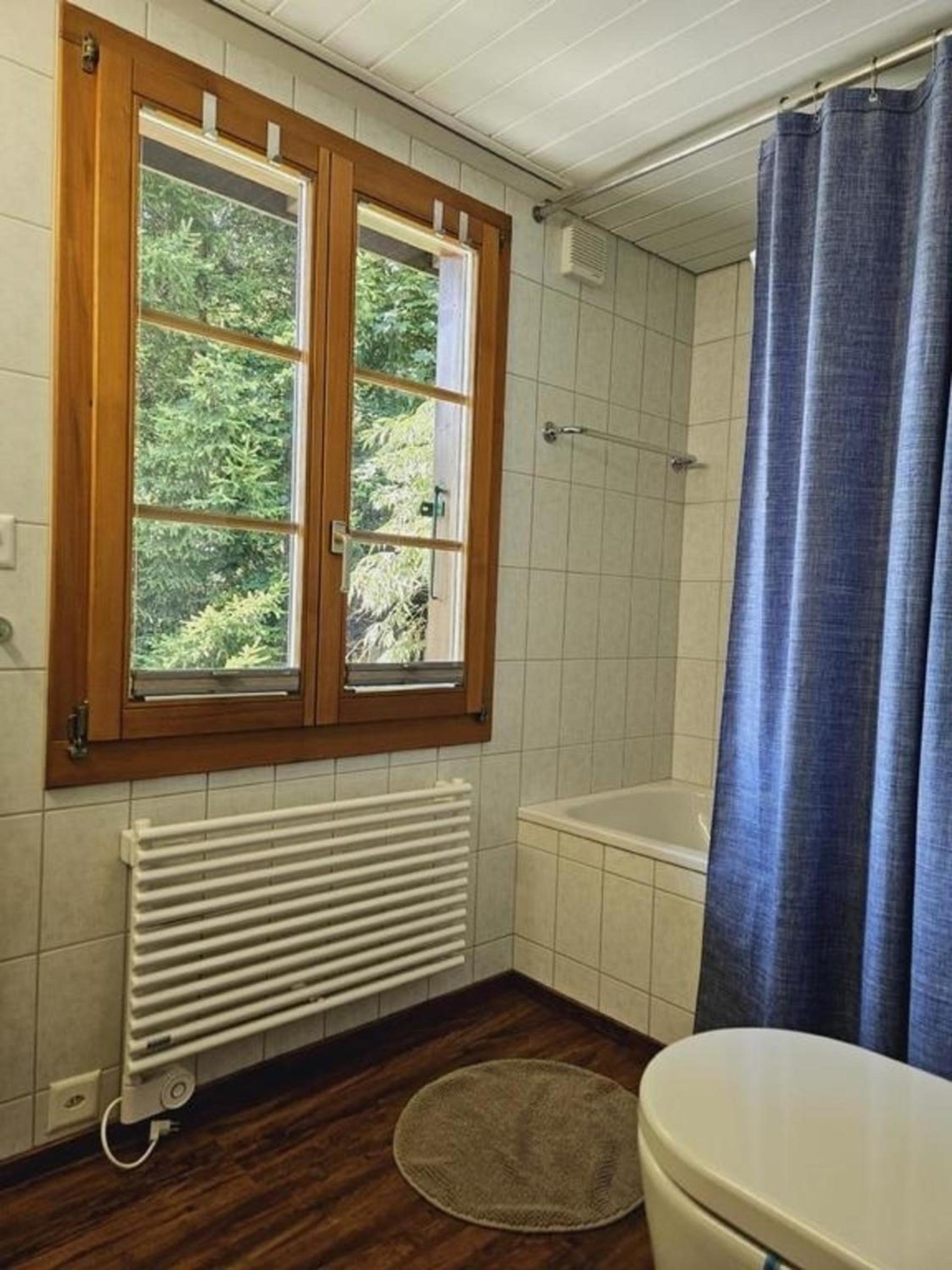 Chalet Tannegüetli
