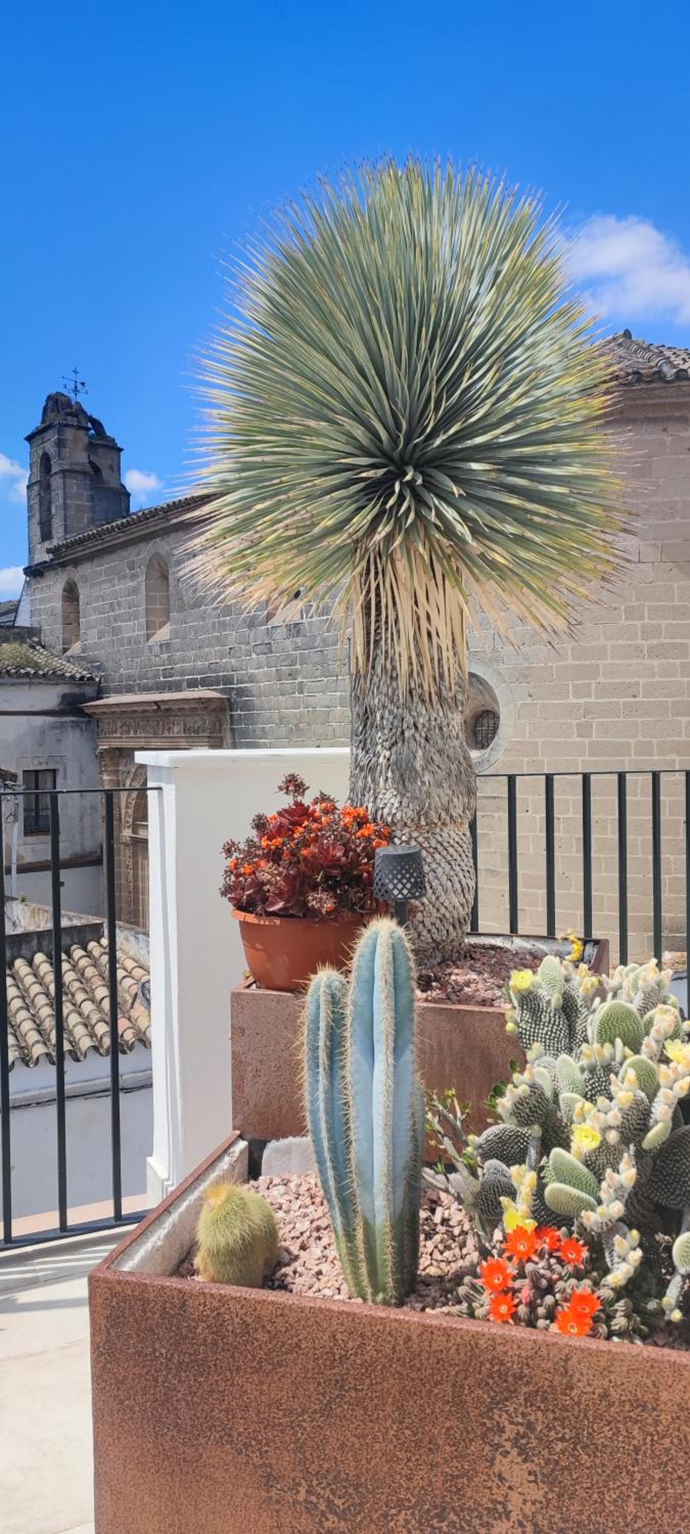 Palacio el Duende-Parking privado-terraza Vista Catedral old town