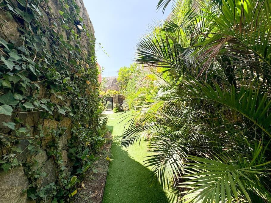 Green Villa The Canarian Garden by CanaryScape
