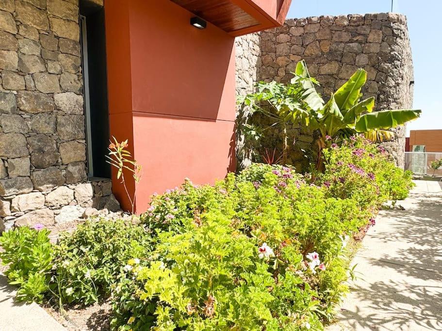 Green Villa The Canarian Garden by CanaryScape