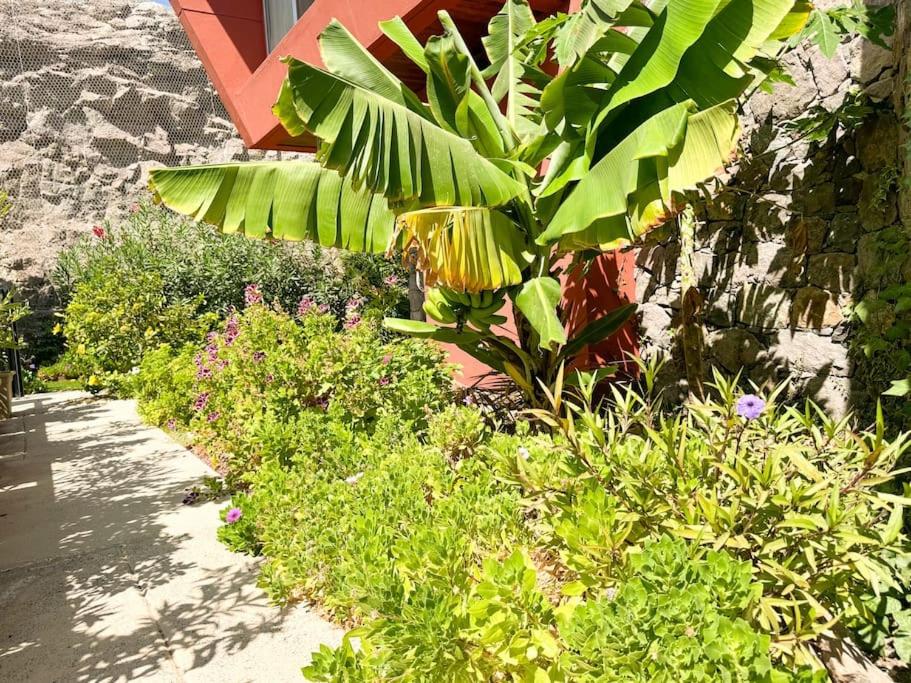 Green Villa The Canarian Garden by CanaryScape