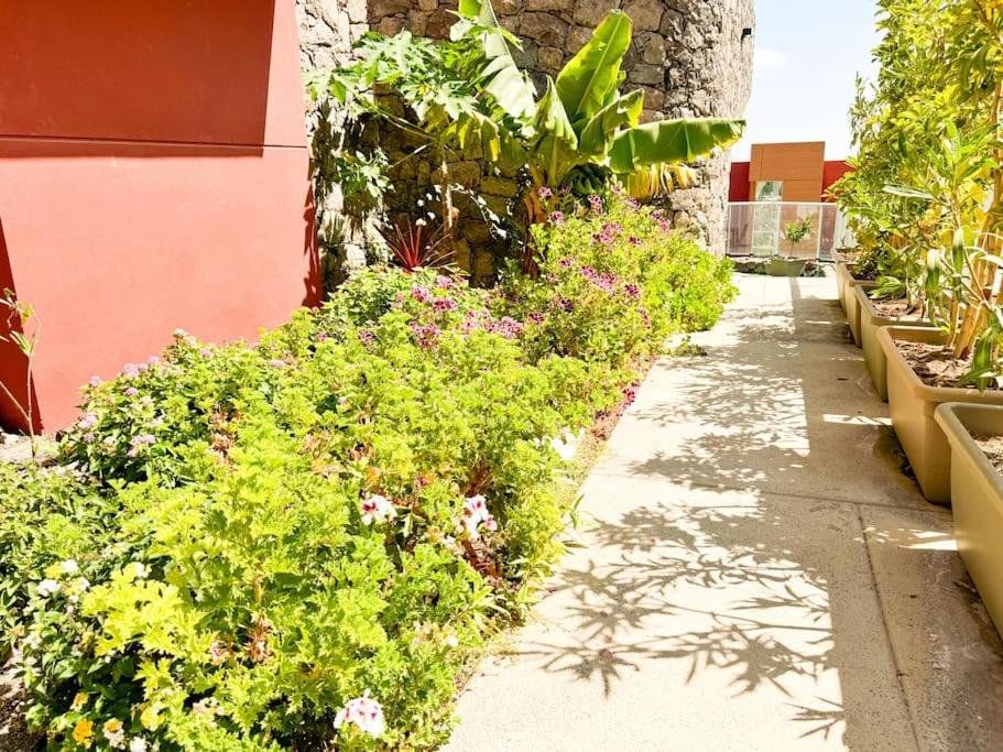 Green Villa The Canarian Garden by CanaryScape