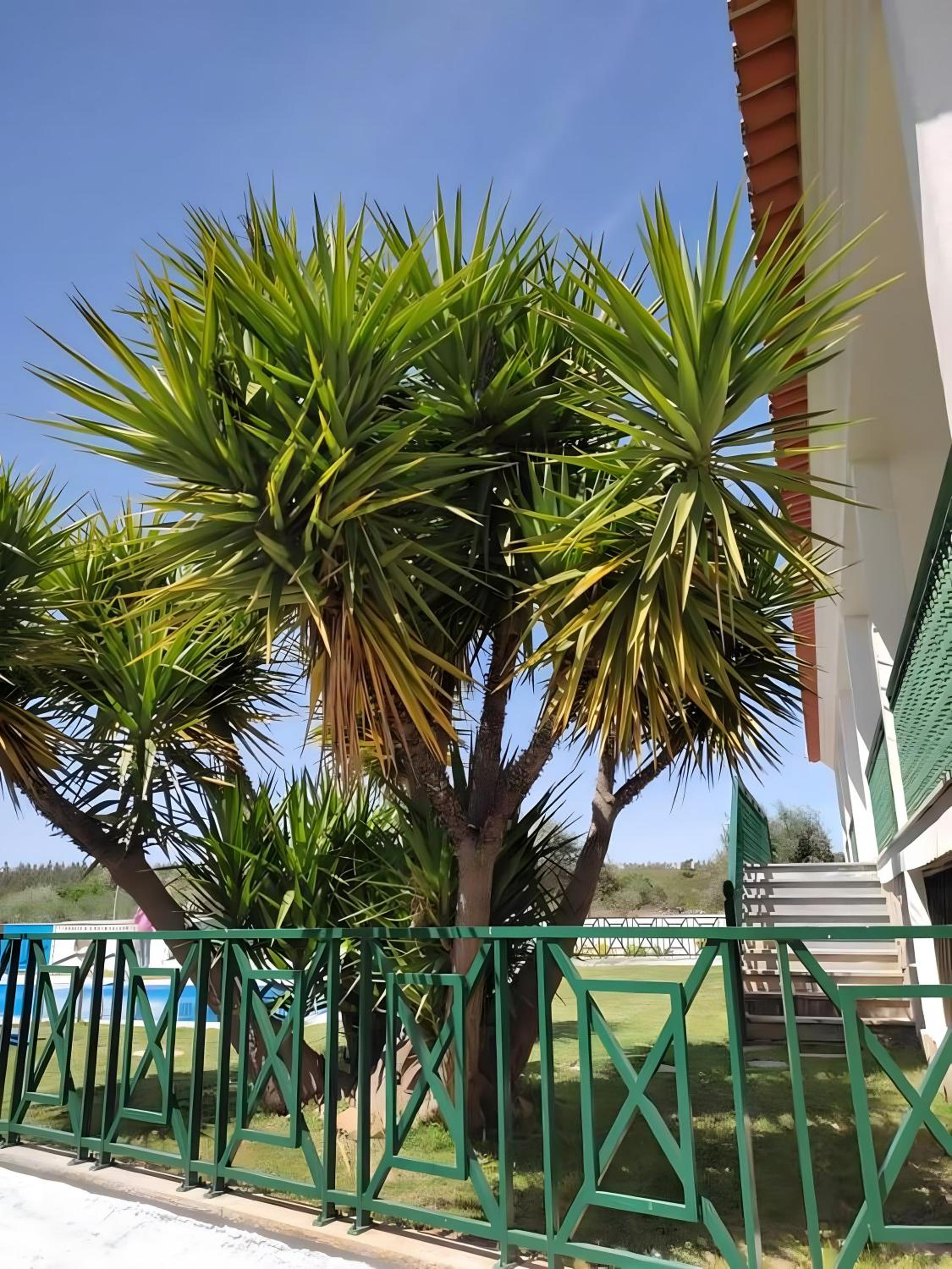 Quinta do Ribeirinho