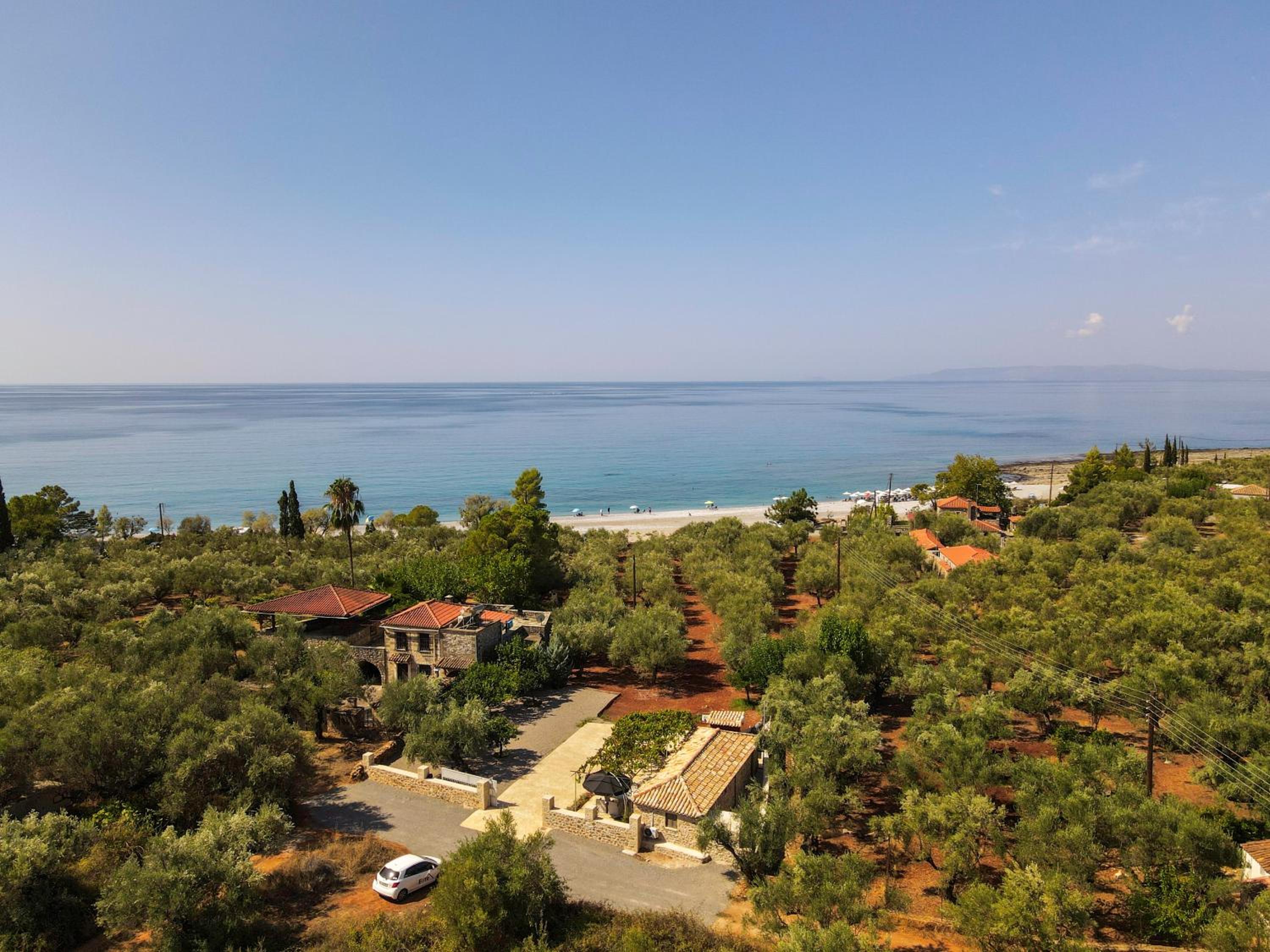 olive grove by the sea 30m from the beach view 2