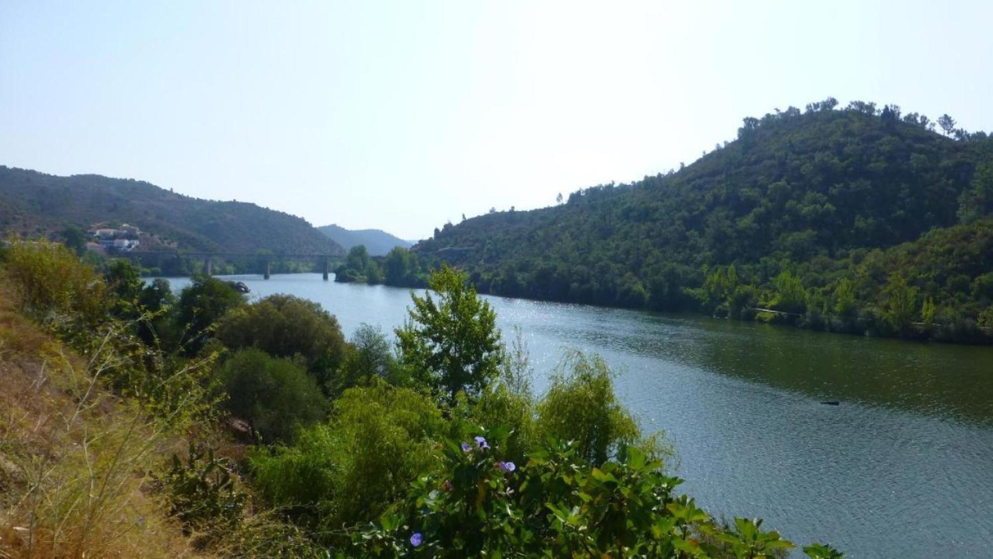 Quinta do Ribeirinho