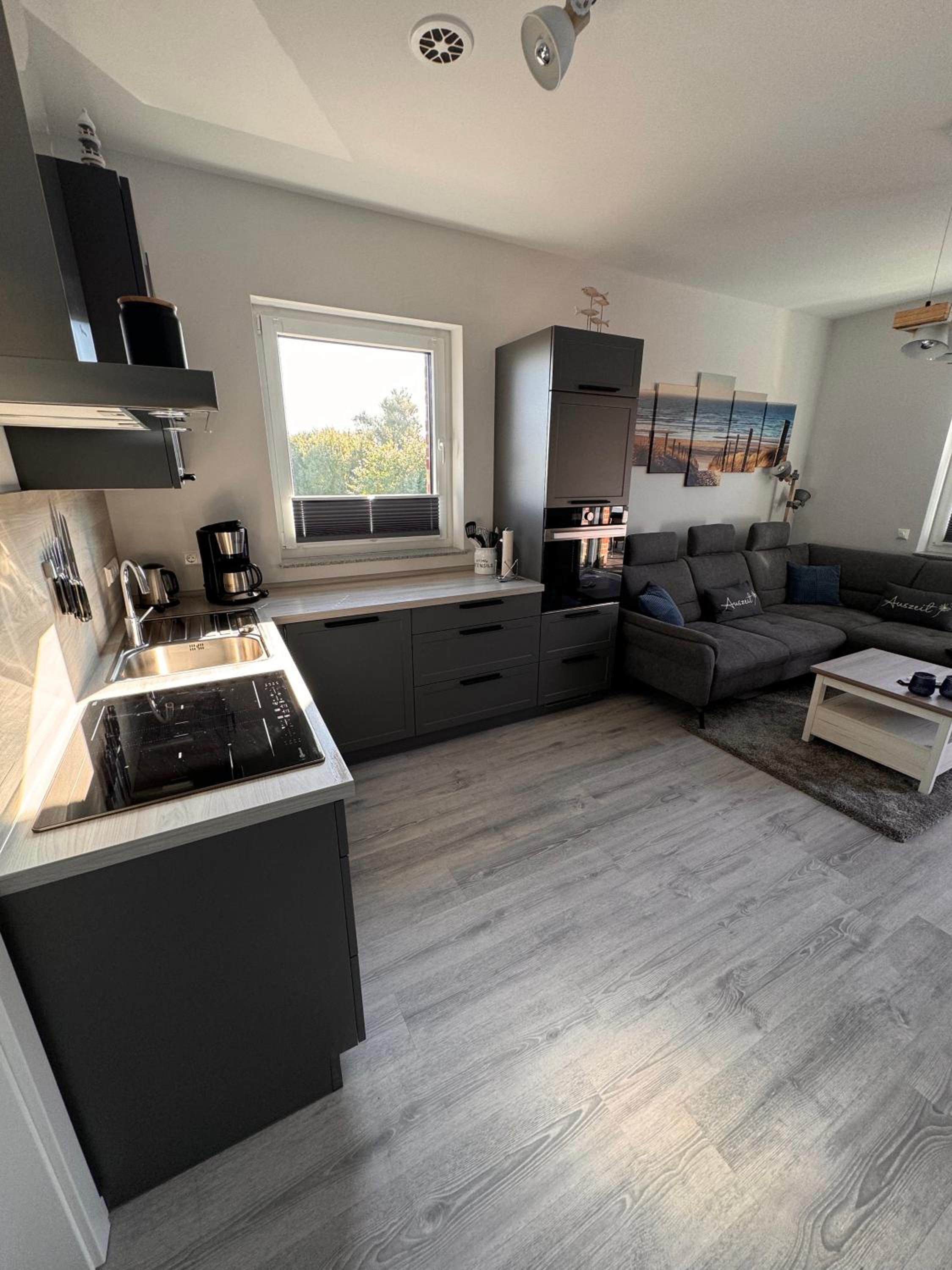 Haus Viking mit 2 Ferienwohnungen Bjorn 4 Pers und Floki 6 Pers mit Düne und Garten