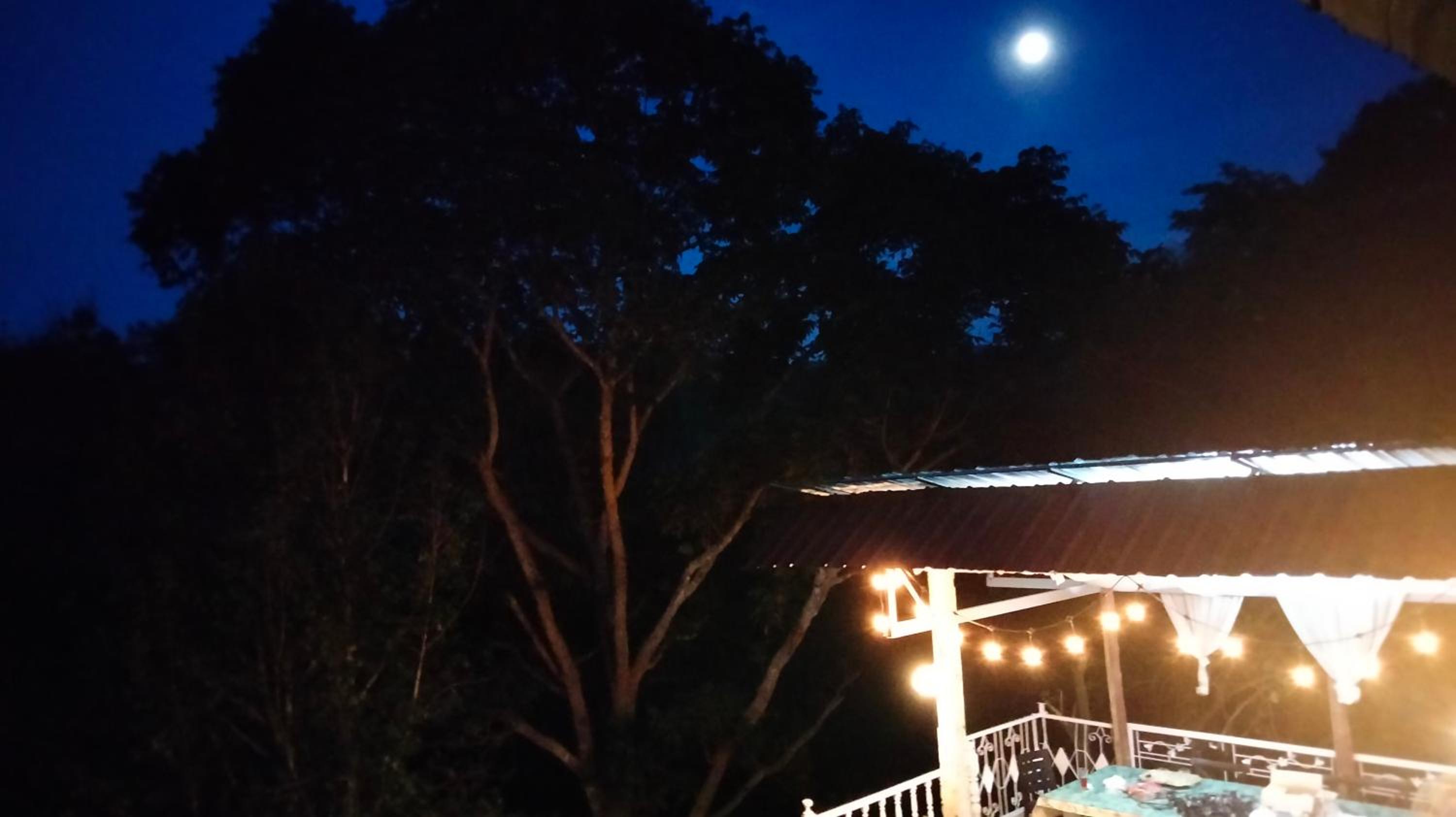 Balmy Hideout Cafe & Homestay