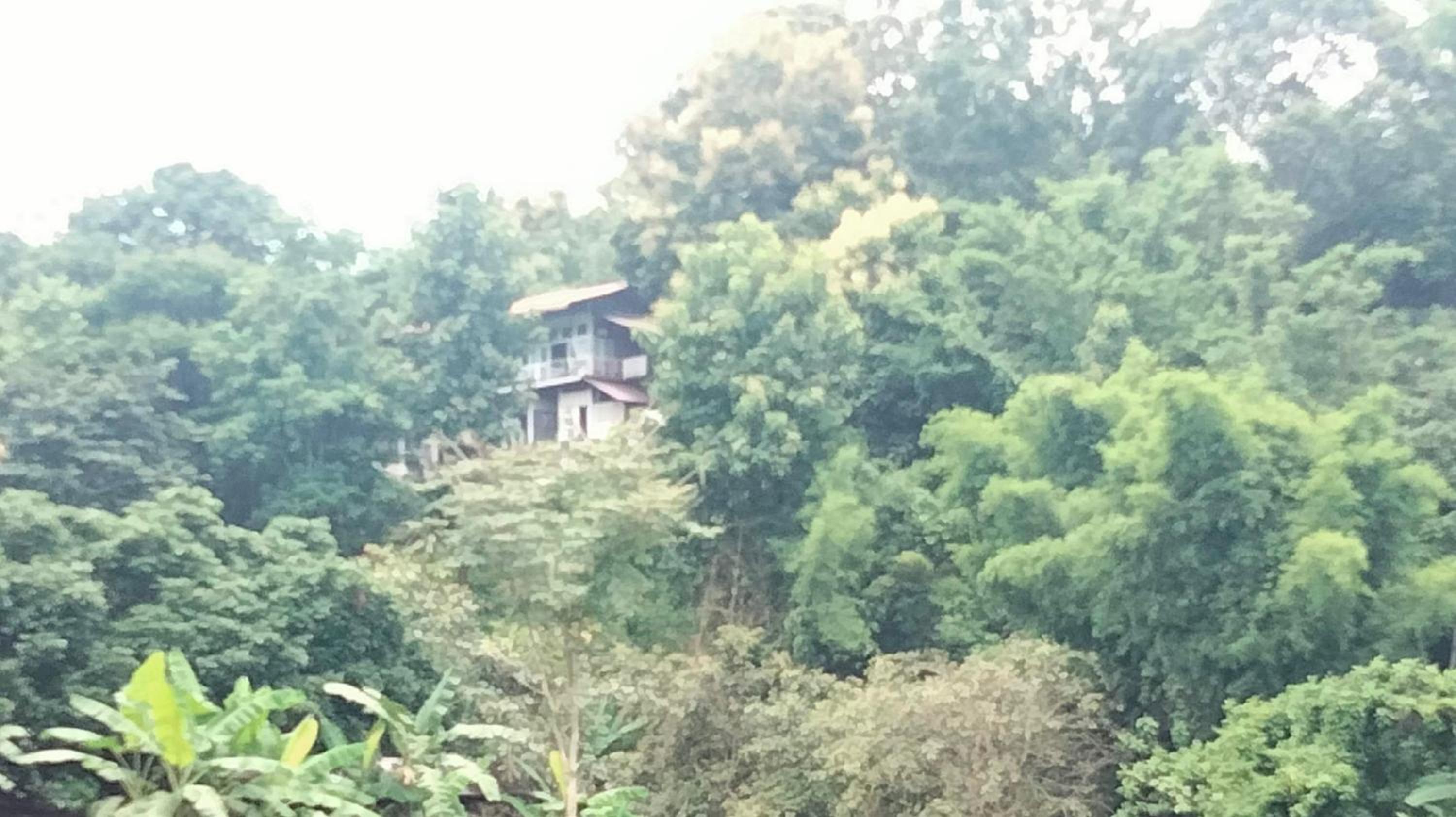 Balmy Hideout Cafe & Homestay