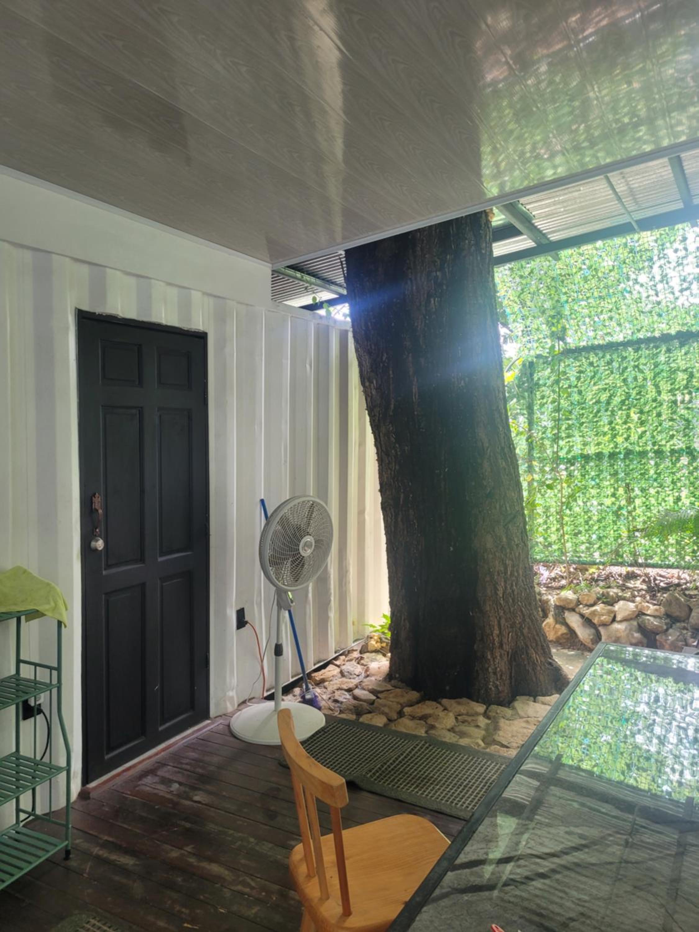 Jungle house