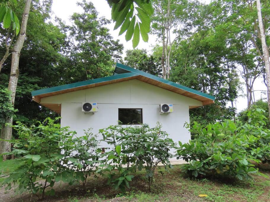 Casa perezoso