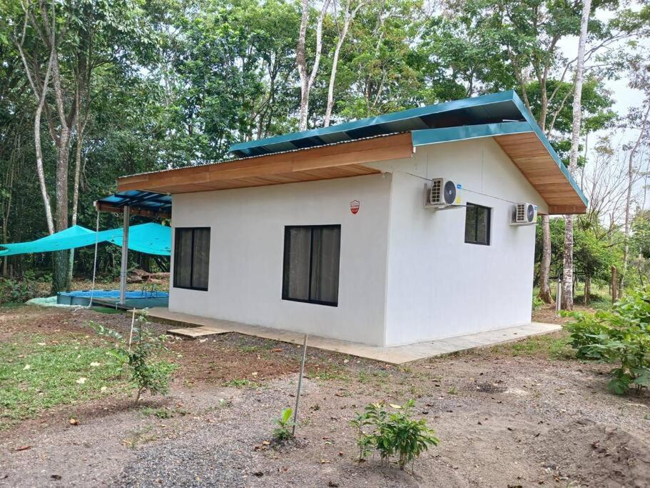 Casa perezoso