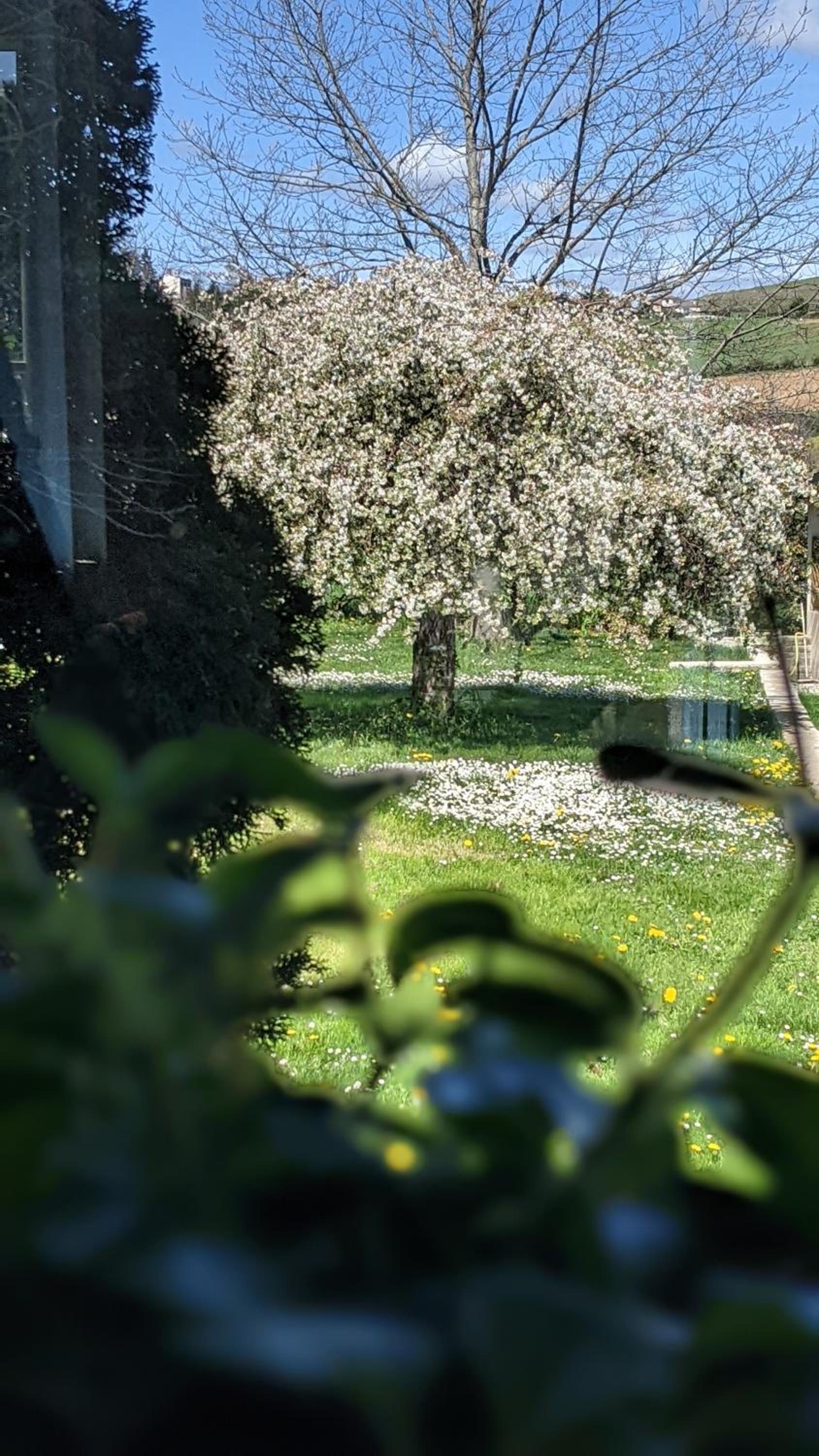 Le Clos Du Perret, photo 43