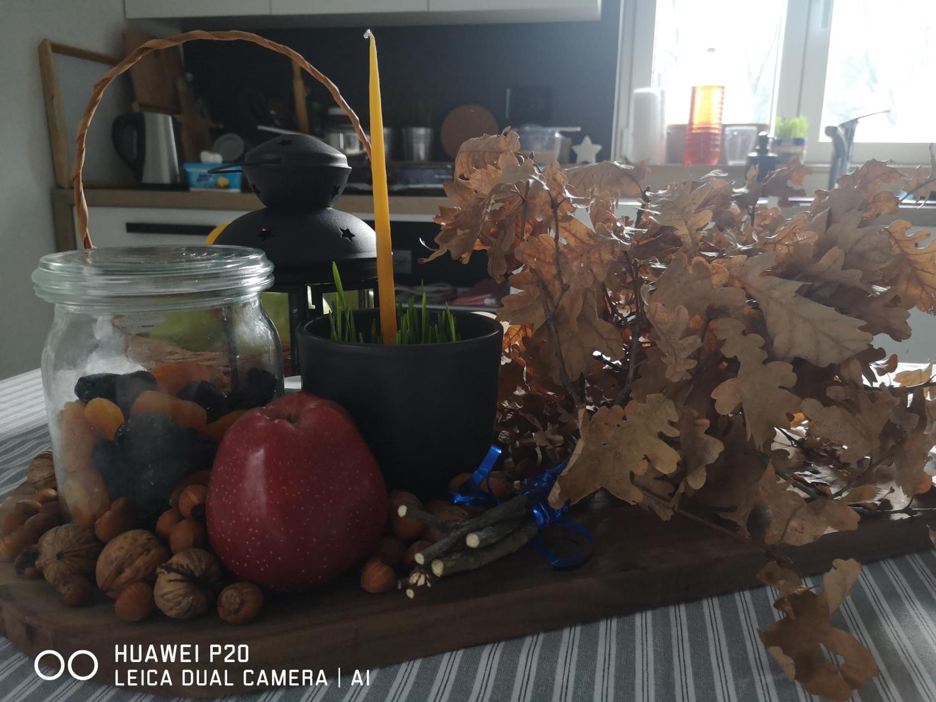 Photo 51
