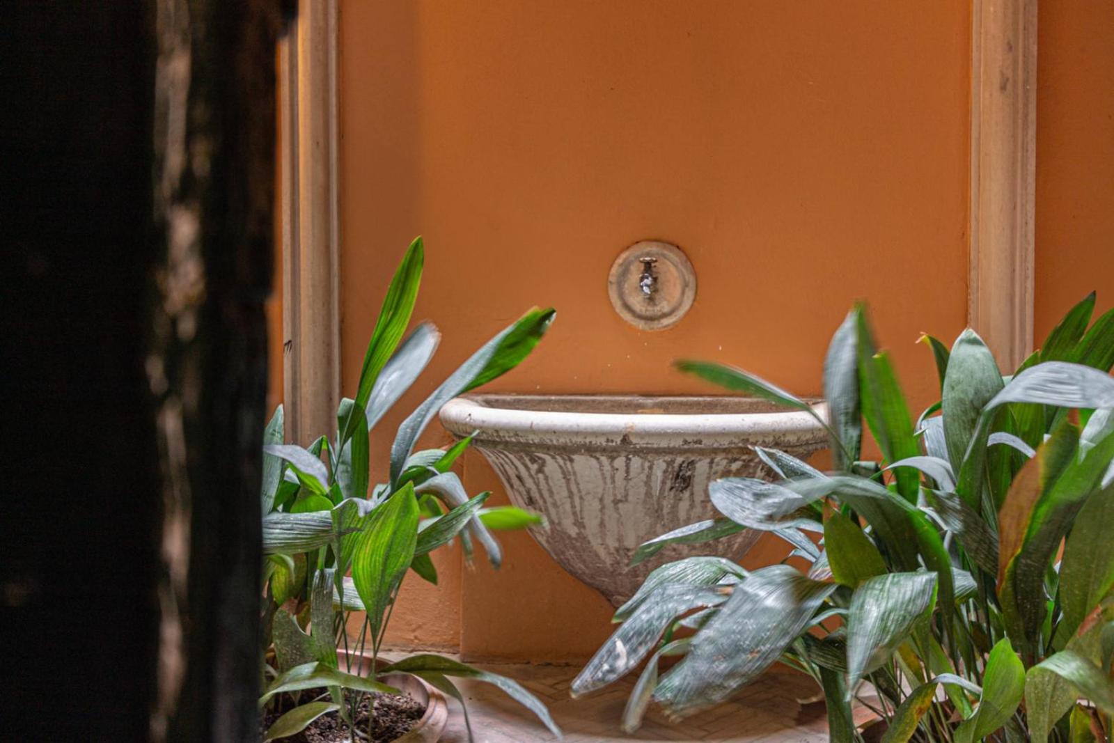 RANALLI Suite