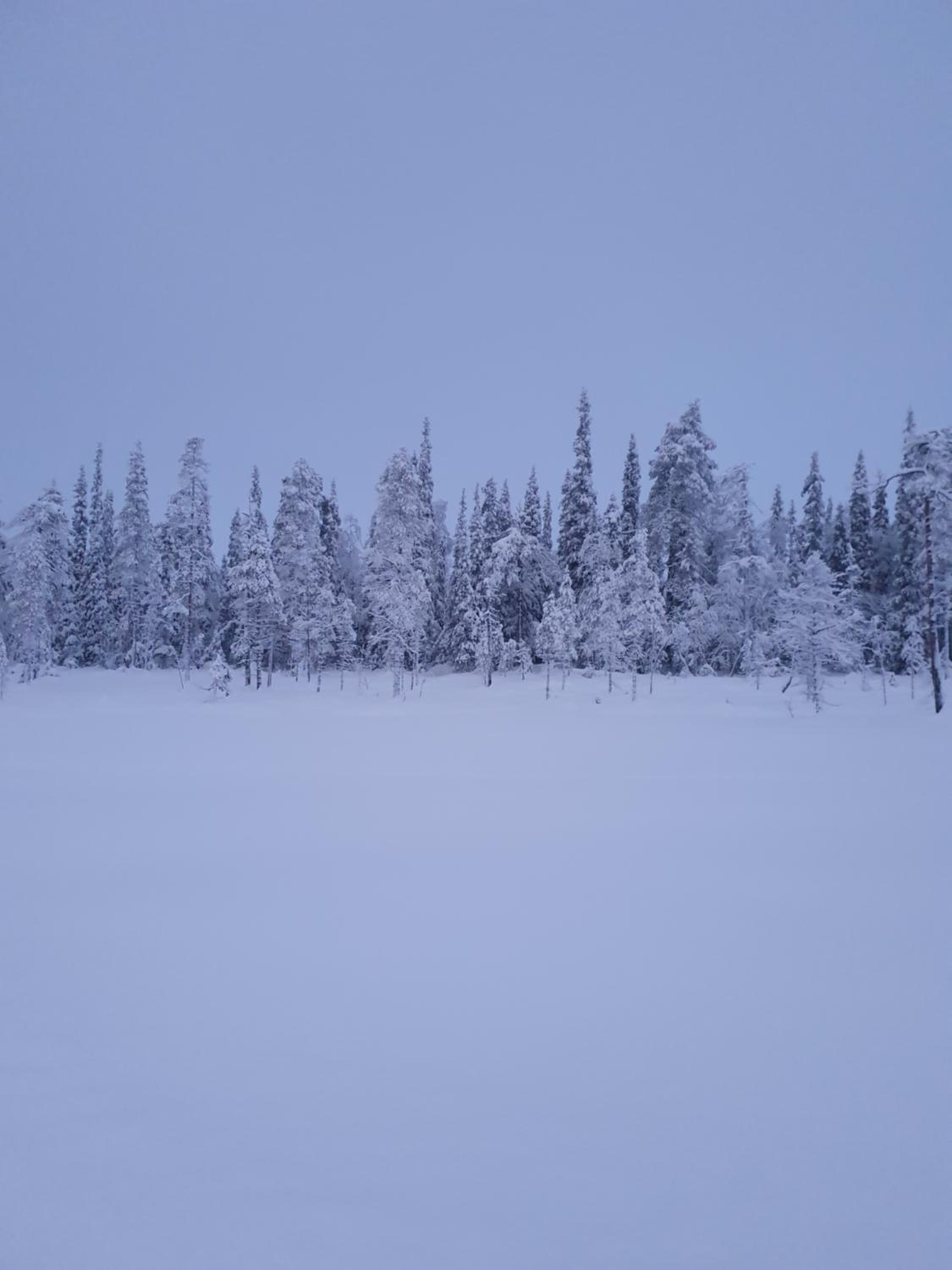 Forest Ranger's House, Authentic Lappish atmosphere