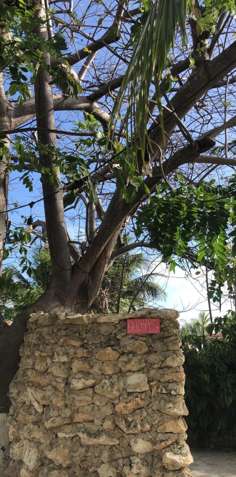 Casona La Carolina