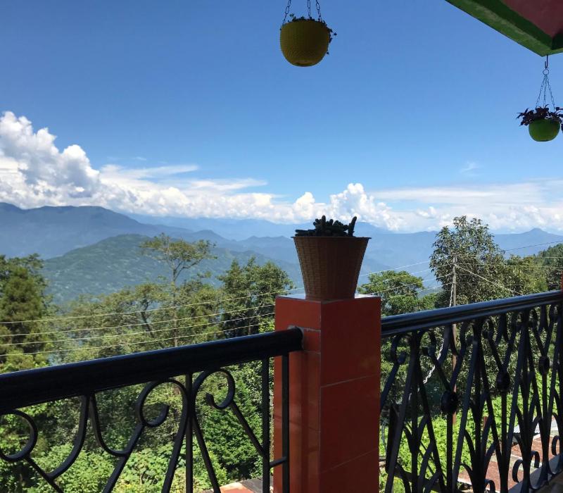 Surya Homestay - Rural Tea Garden Homestay view 5