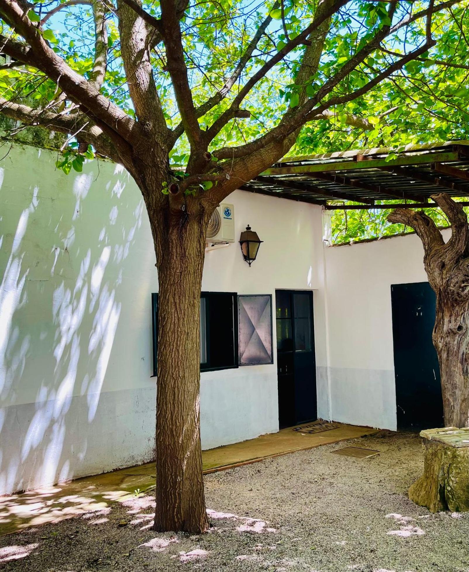 Camping El Madroñal