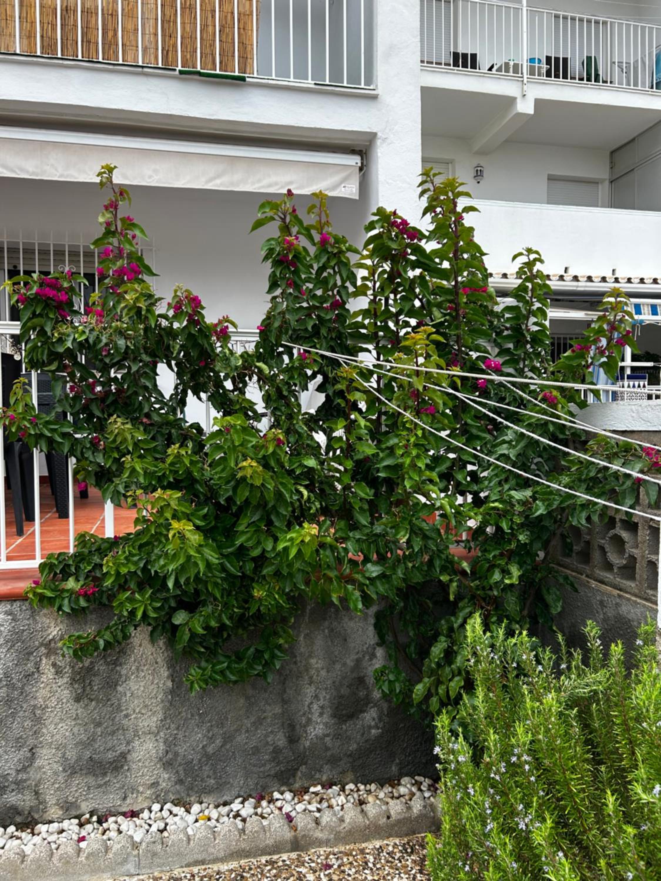 Apartamento junto al mar ROQUEO NICOLAS