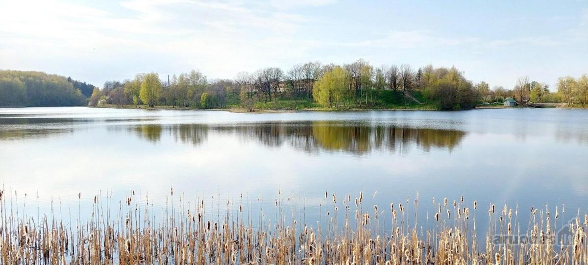 Jaukus butas Plungėje