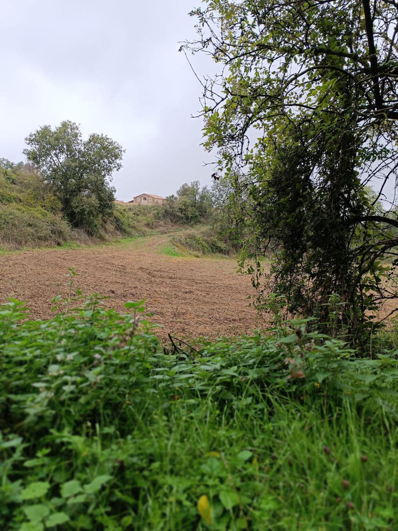 Masia El Bosquet