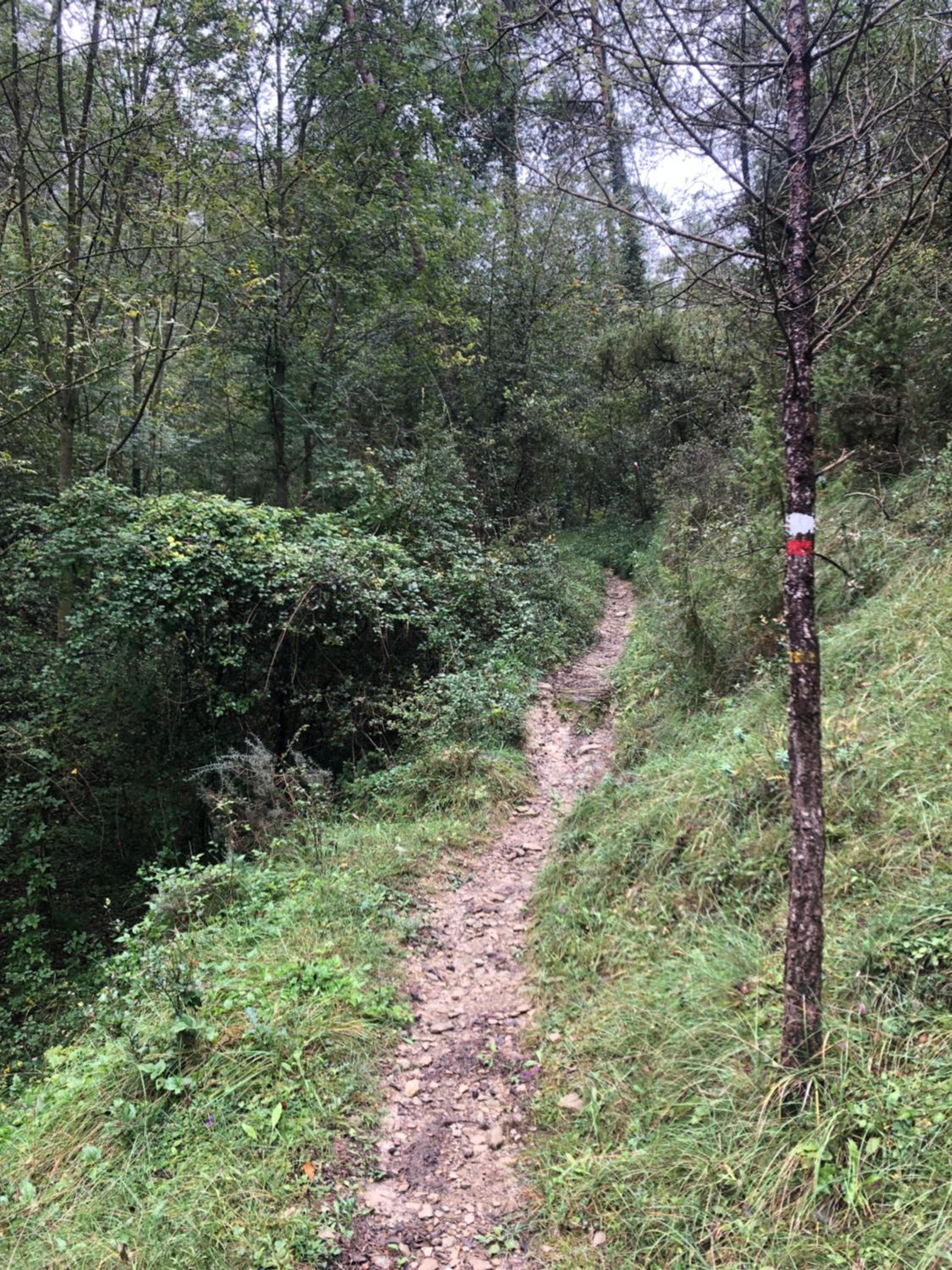 Masia El Bosquet