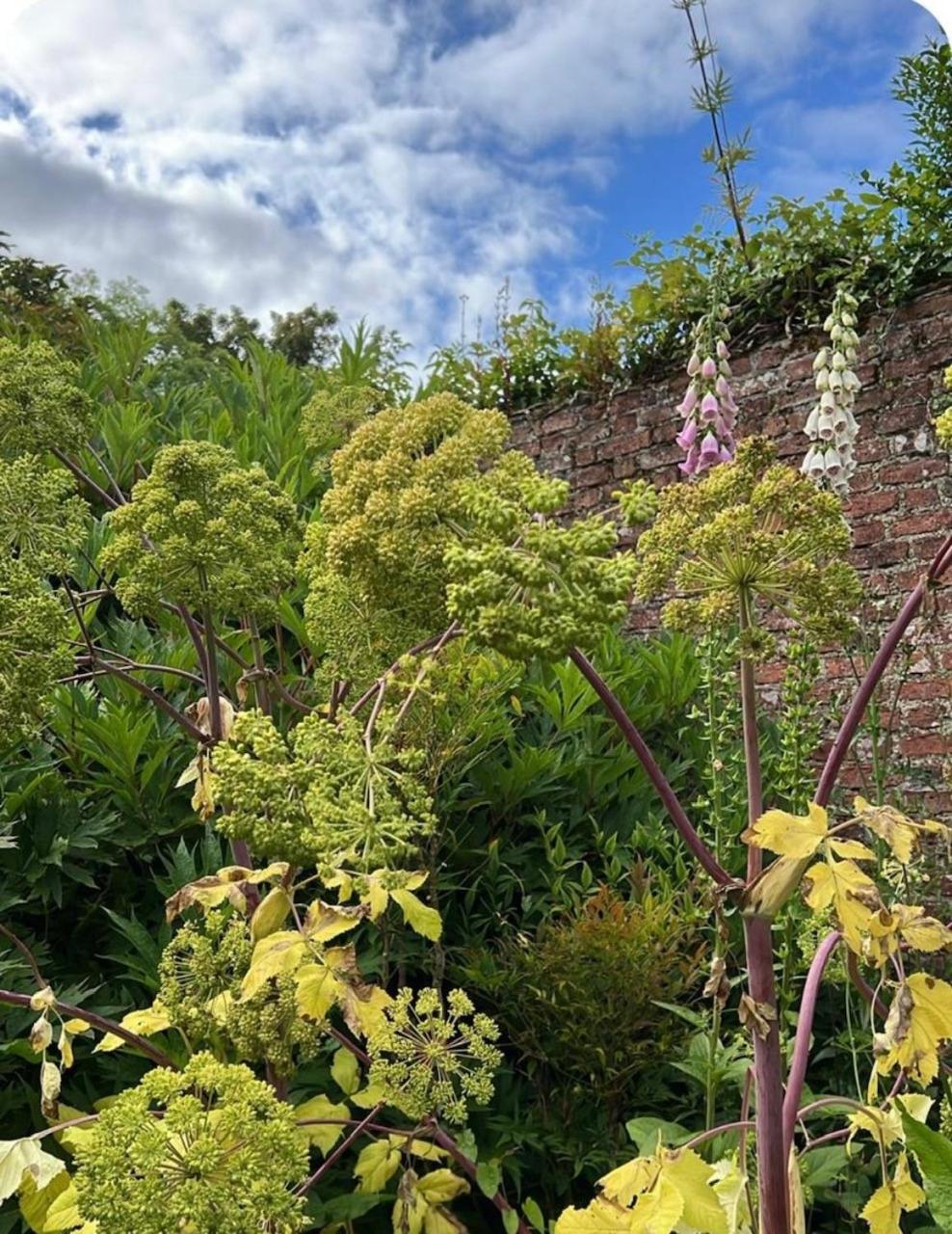 The Barn, Walworth Demesne