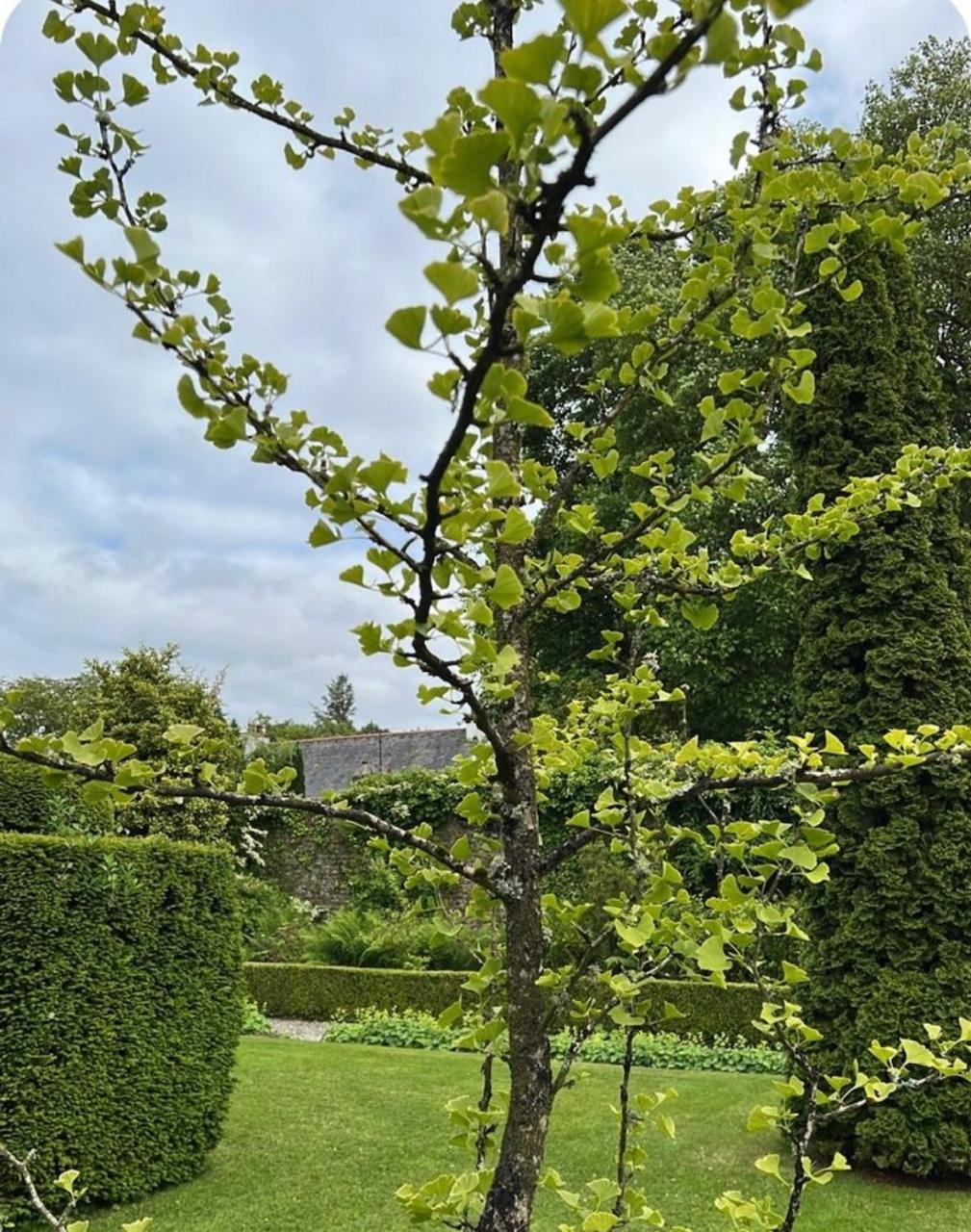 The Barn, Walworth Demesne