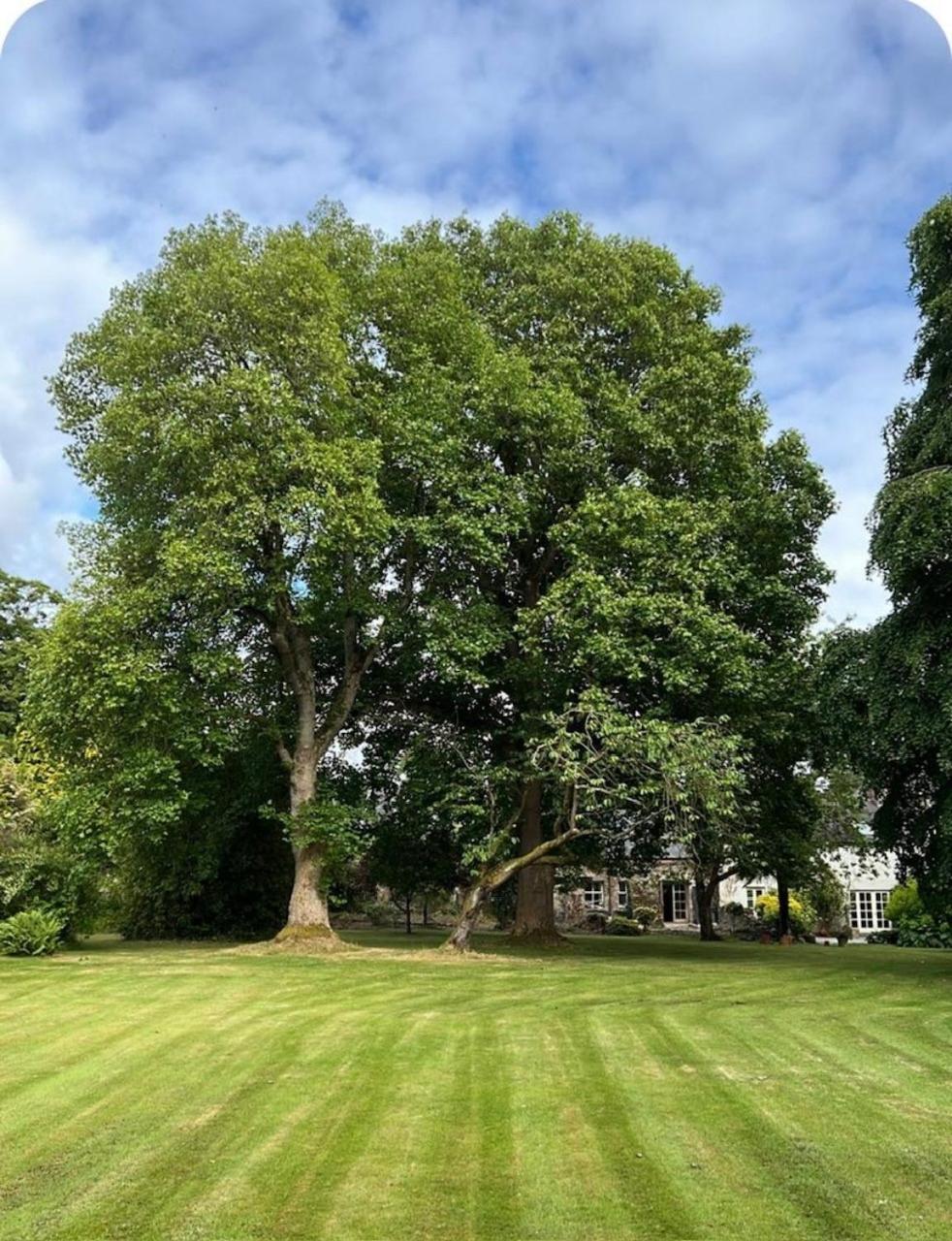 The Barn, Walworth Demesne