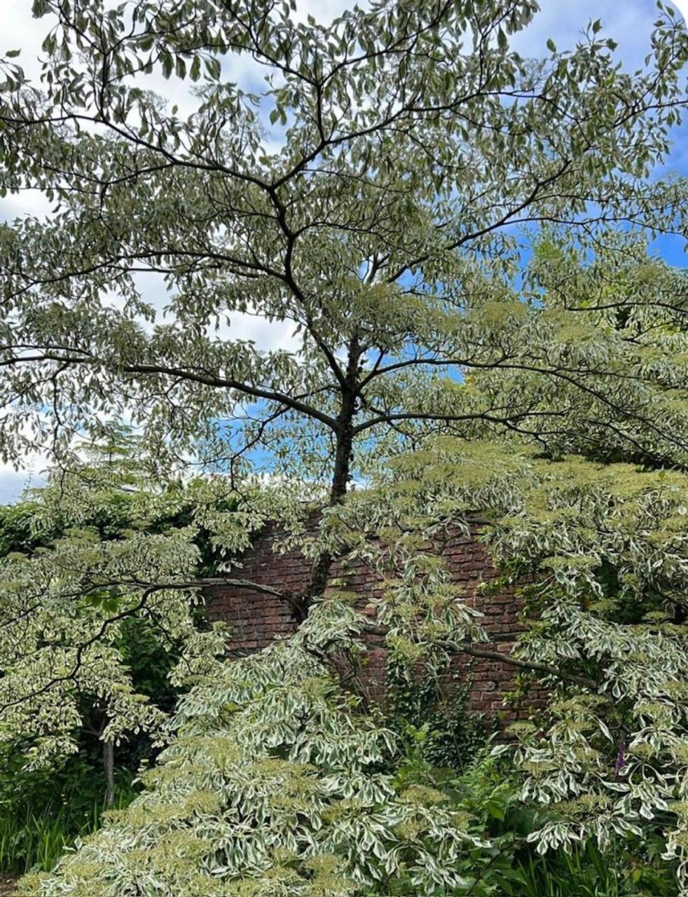 The Barn, Walworth Demesne